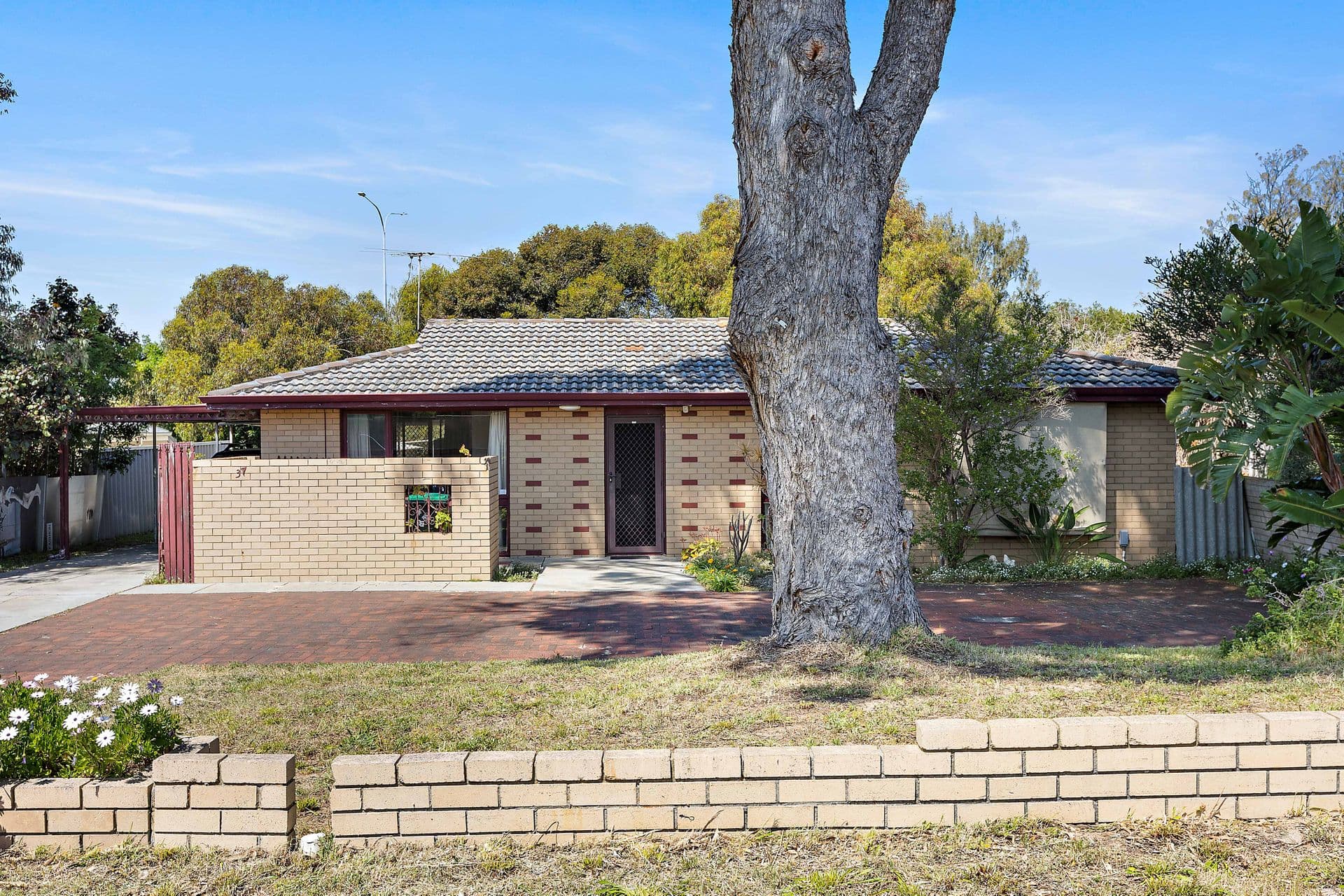 37 Seaflower Crescent, Craigie, WA, 6025, Craigie - Thumbnail 6