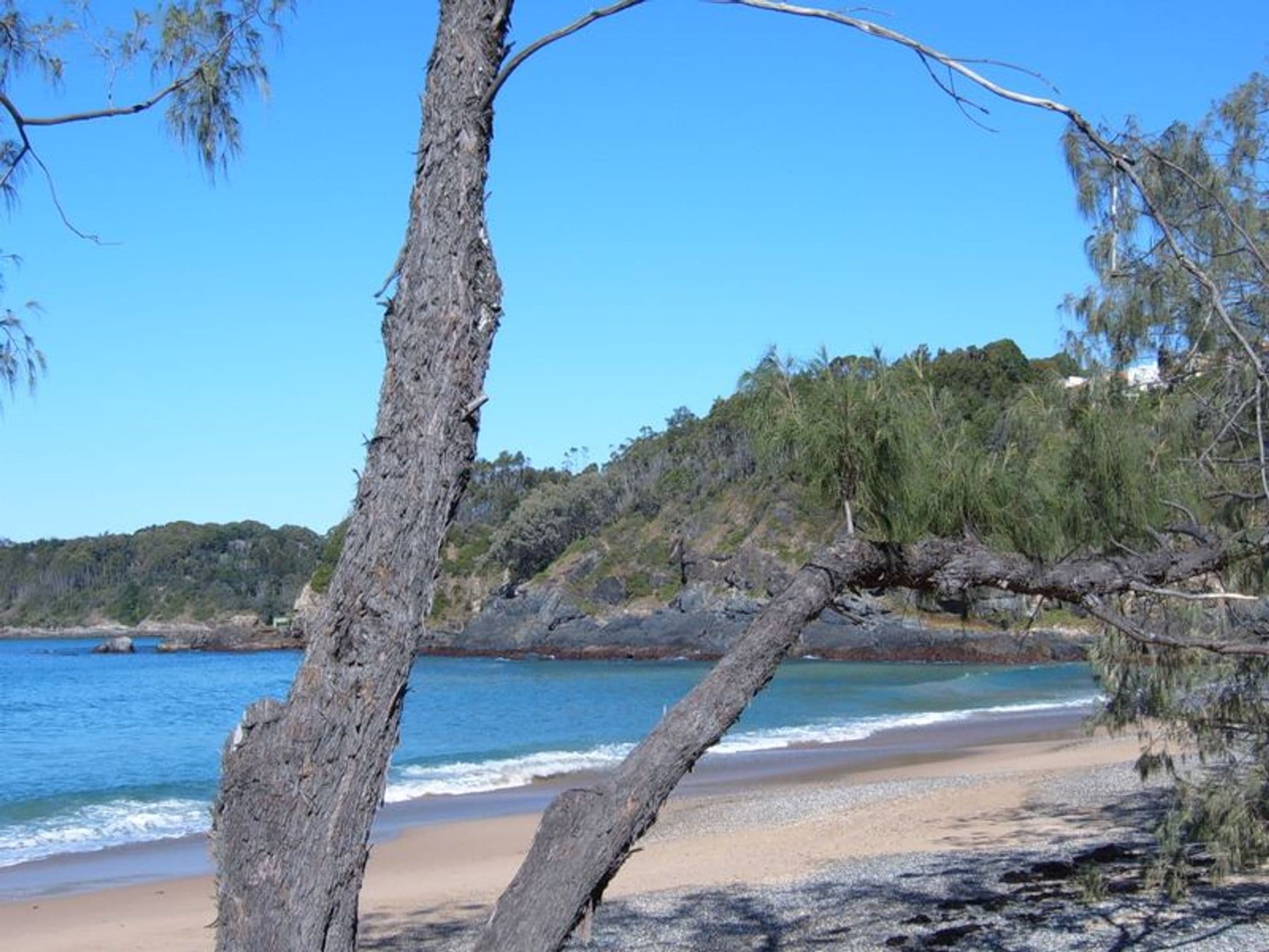 3/36 Sandy Beach Rd, Korora, NSW, 2450, Korora - Thumbnail 8