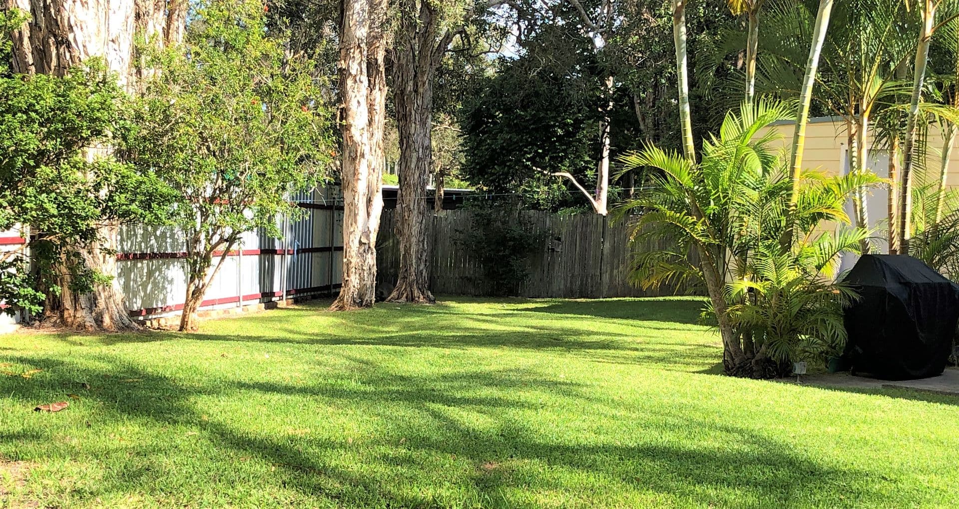 6 Taylor Close, Emerald Beach, NSW, 2456, Emerald Beach - Thumbnail 6