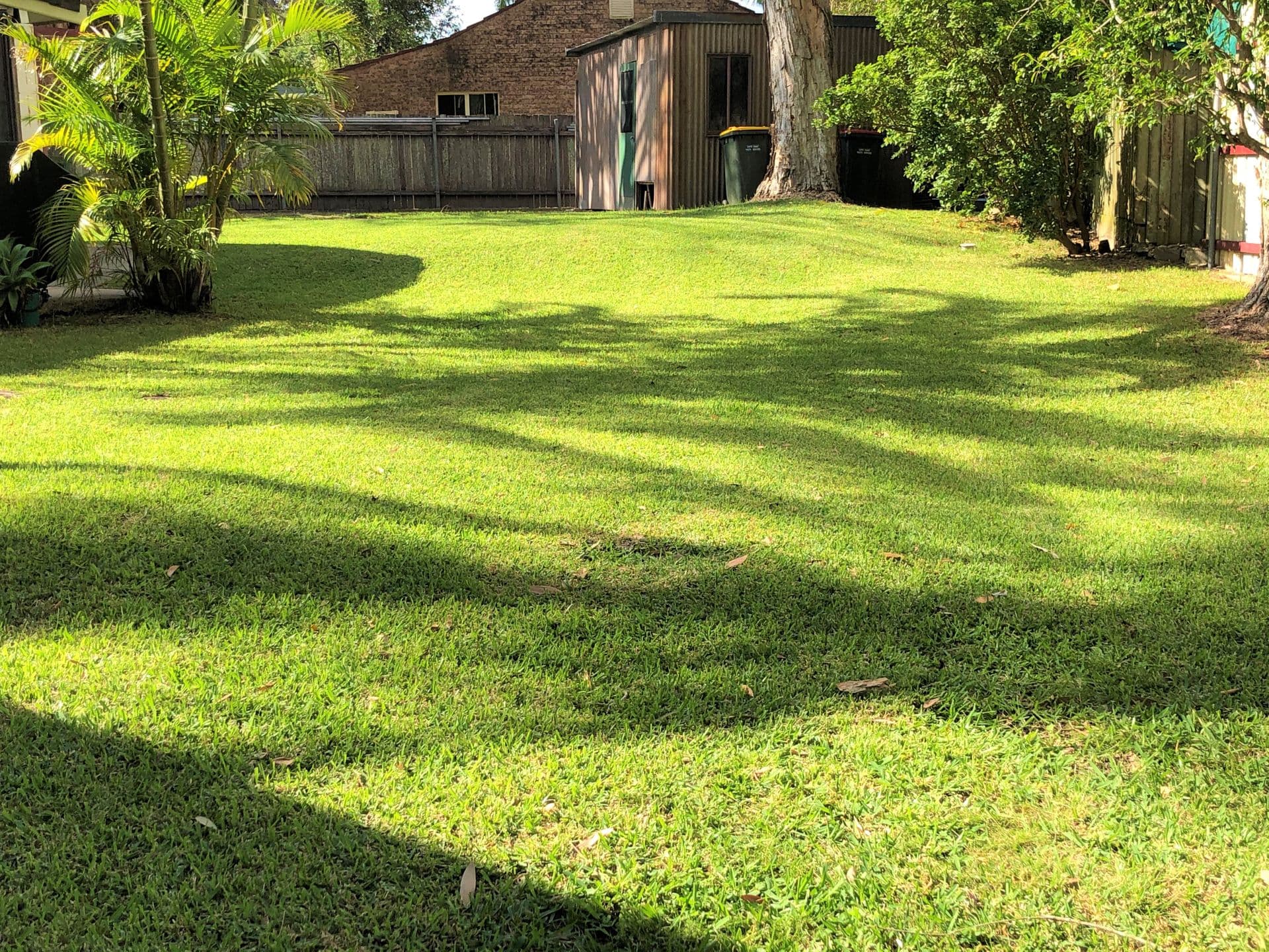 6 Taylor Close, Emerald Beach, NSW, 2456, Emerald Beach - Thumbnail 7