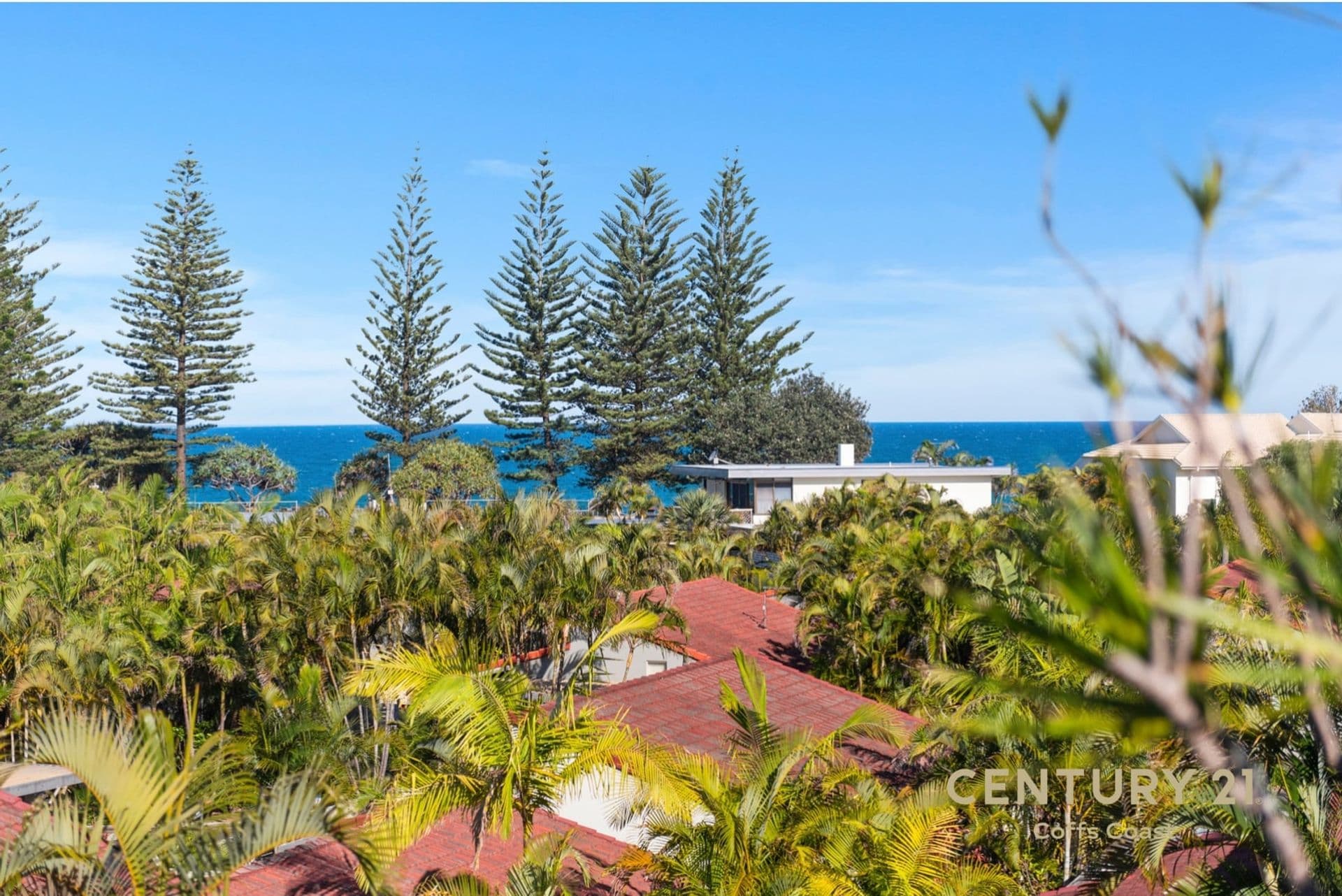 113/8 Solitary Islands Way, Sapphire Beach, NSW, 2450, Sapphire Beach - Thumbnail 3