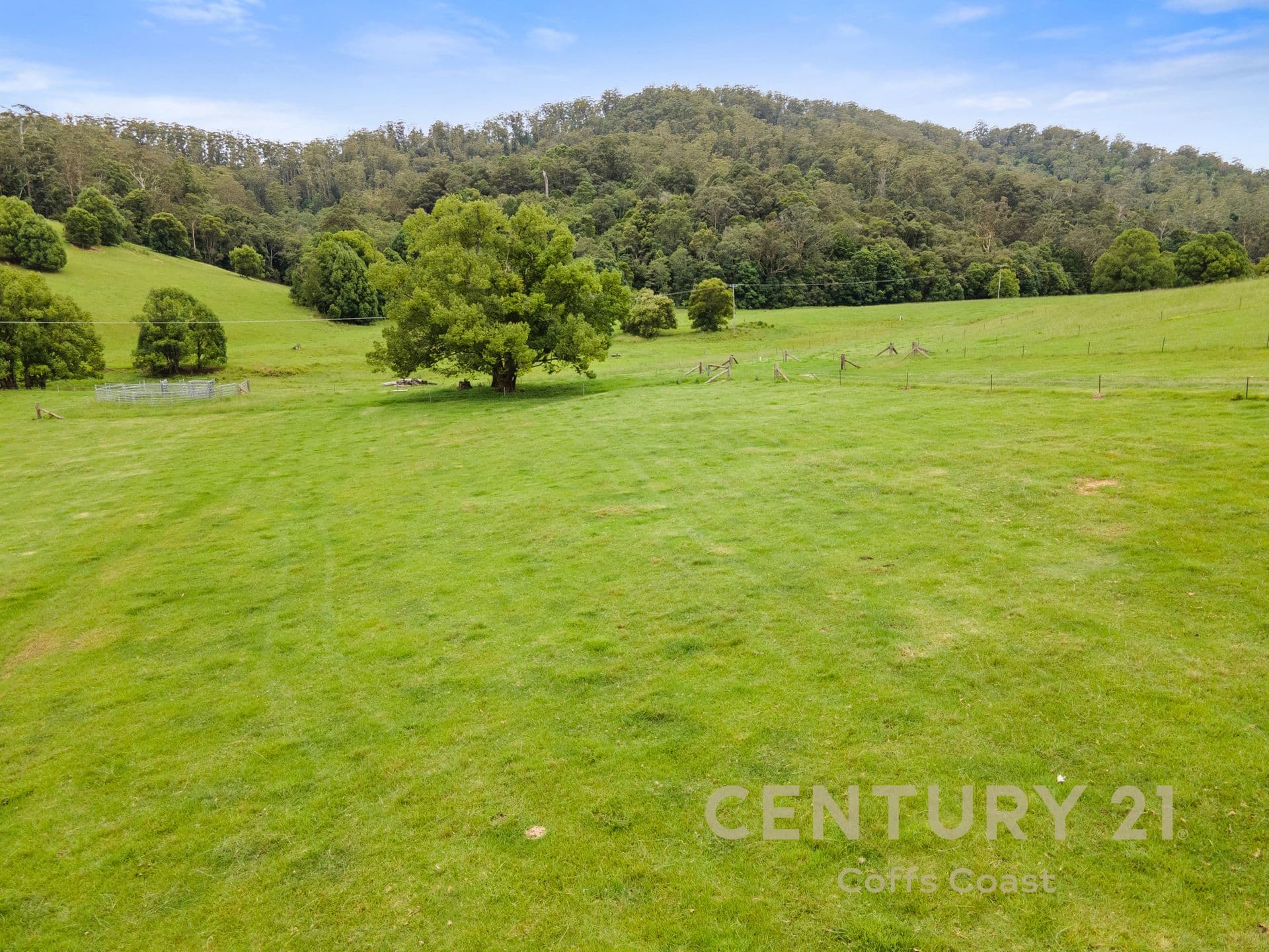 743 Upper Orara Road, Upper Orara, NSW, 2450, Upper Orara - Thumbnail 7