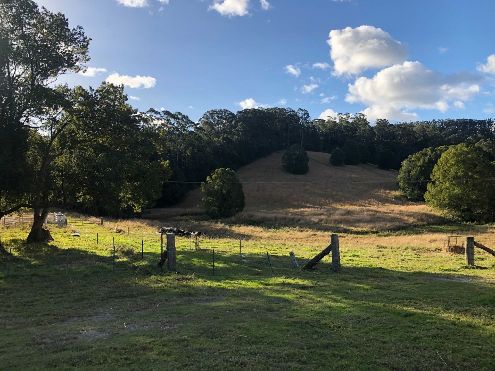 743 Upper Orara Road, Upper Orara, NSW, 2450, Upper Orara - Thumbnail 4