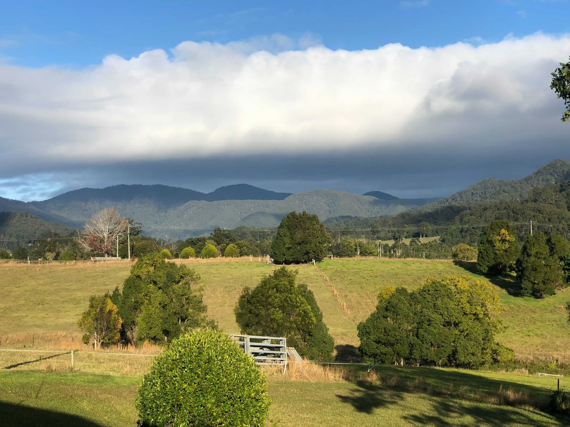 743 Upper Orara Road, Upper Orara, NSW, 2450, Upper Orara - Thumbnail 6