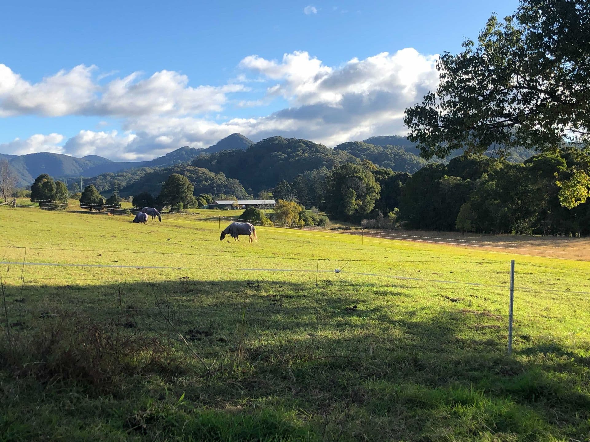 743 Upper Orara Road, Upper Orara, NSW, 2450, Upper Orara - Thumbnail 3