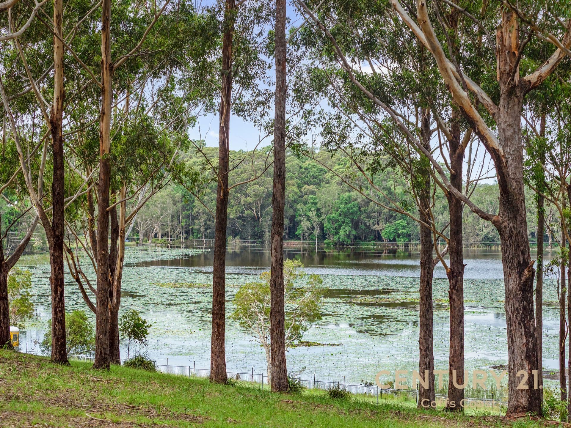 60 Smiths Road, Emerald Beach, NSW, 2456, Emerald Beach - Image 1