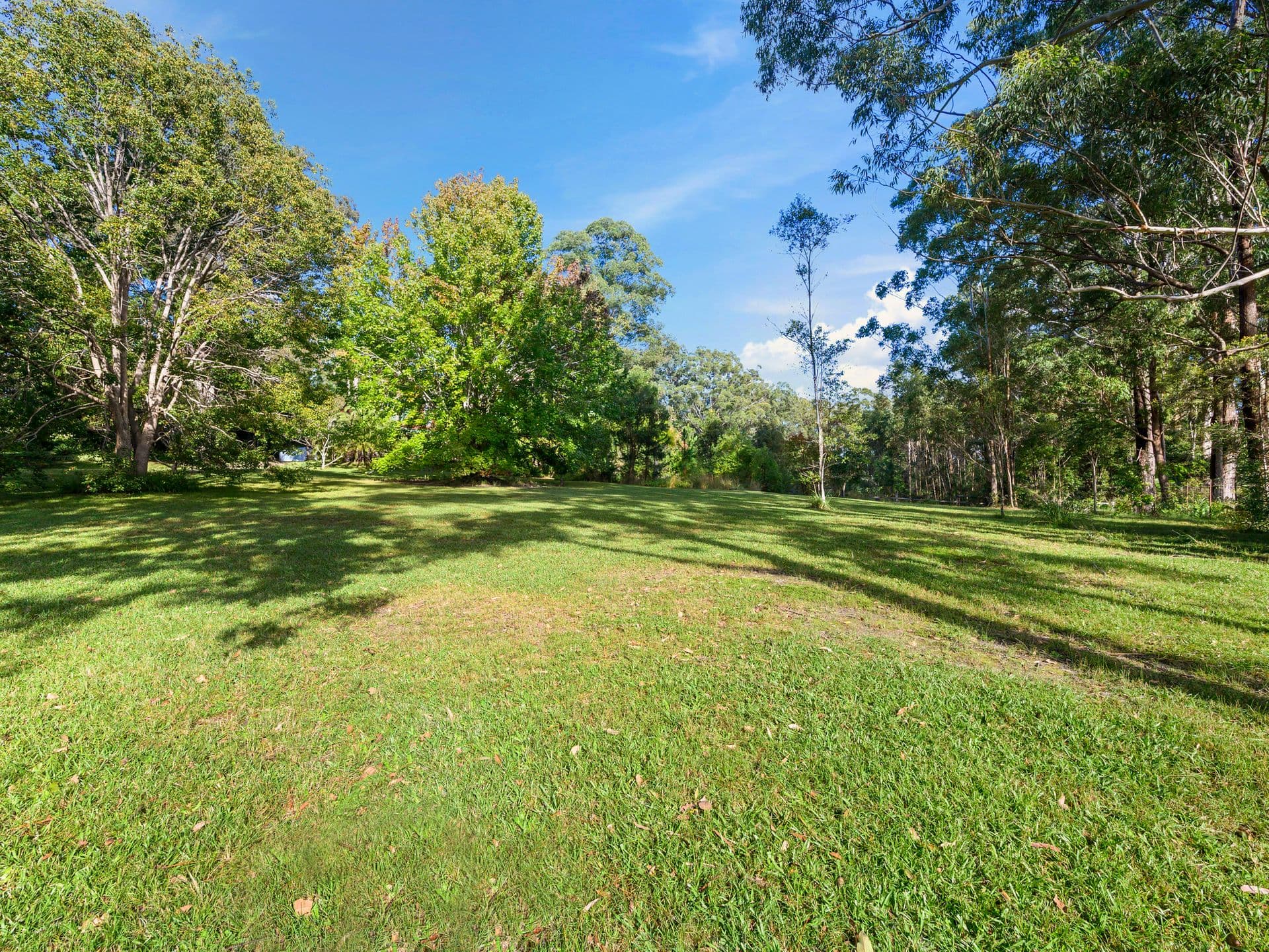 255 Mardells Road, Bucca, NSW, 2450, Bucca - Thumbnail 3