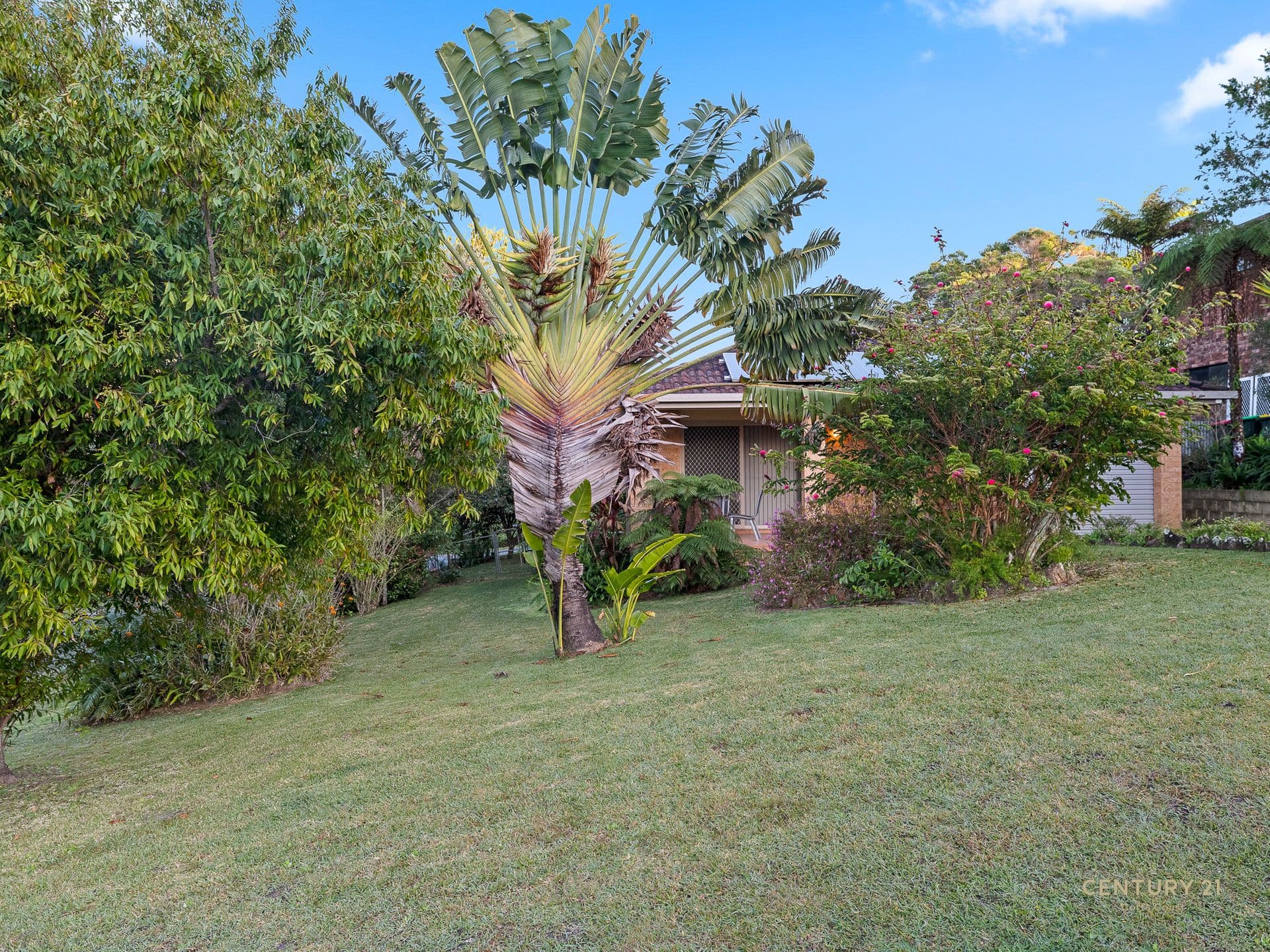 34 Woodhouse Road, Moonee Beach, NSW, 2450, Moonee Beach - Thumbnail 3