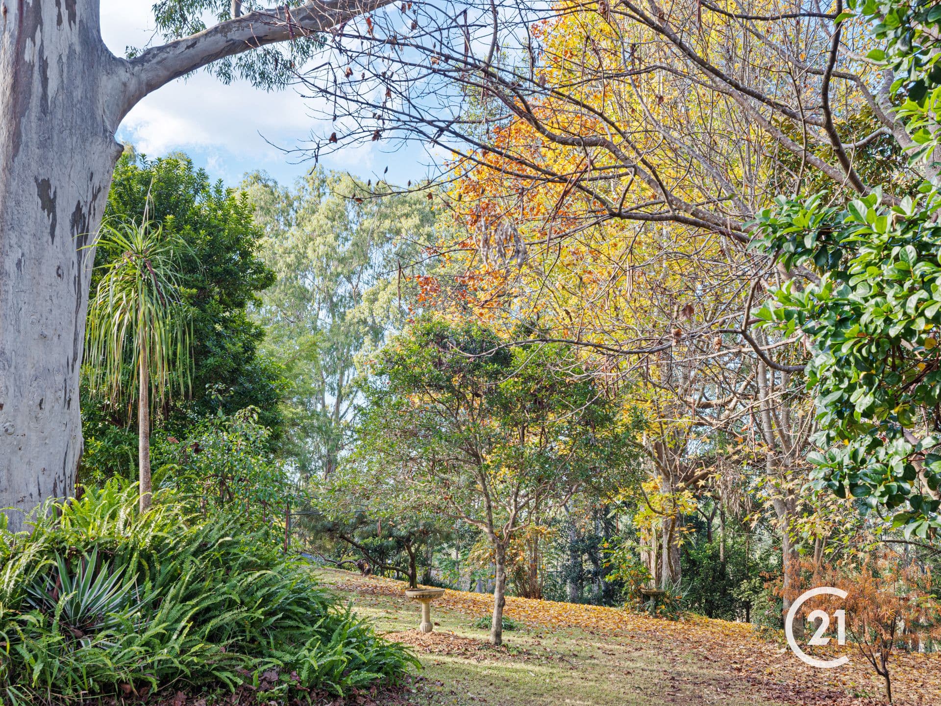 190b Mcclellands Road, Bucca, NSW, 2450, Bucca - Thumbnail 8