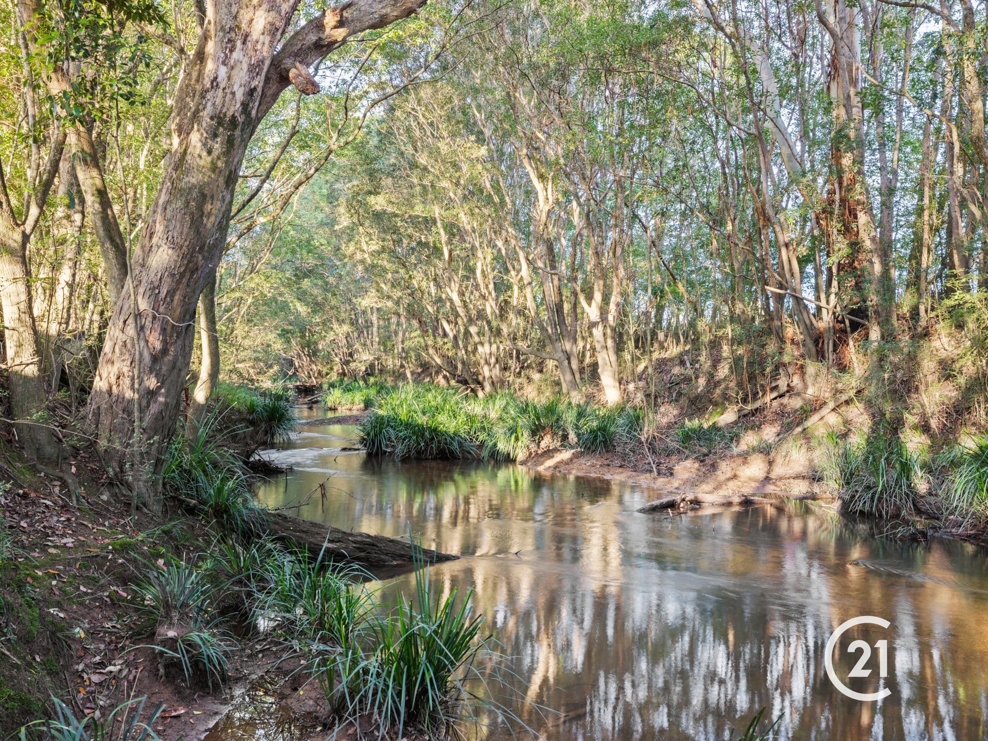 190b Mcclellands Road, Bucca, NSW, 2450, Bucca - Thumbnail 3