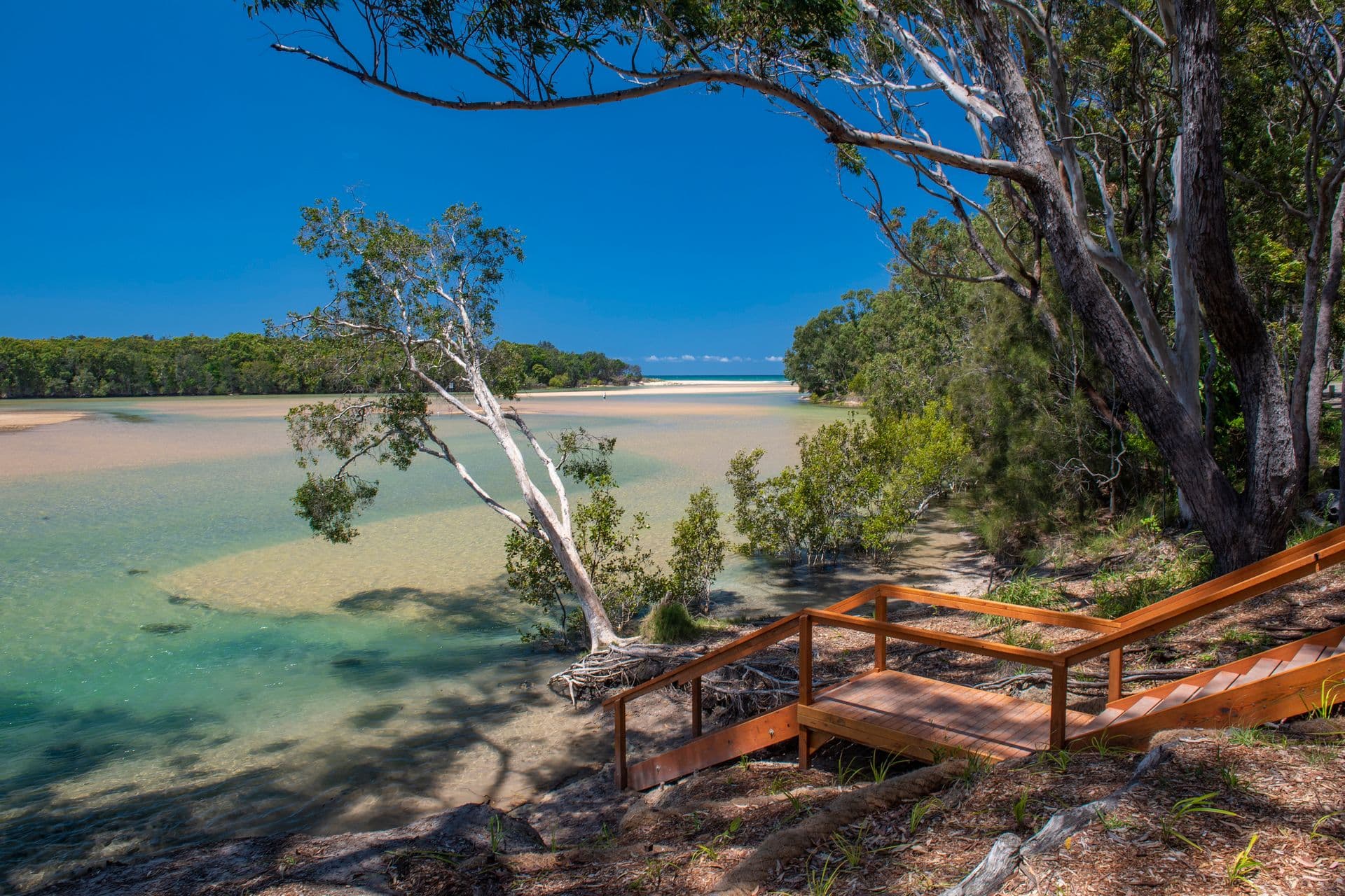 3 RUSTY PLUM PLACE, Moonee Beach, NSW, 2450, Moonee Beach - Thumbnail 7