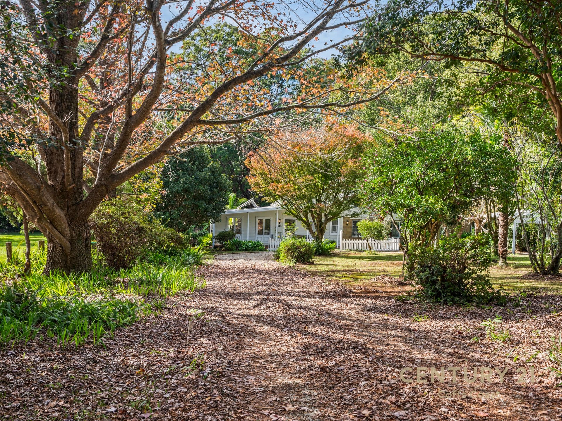 156 Central Bucca Road, Bucca, NSW, 2450, Bucca - Image 1