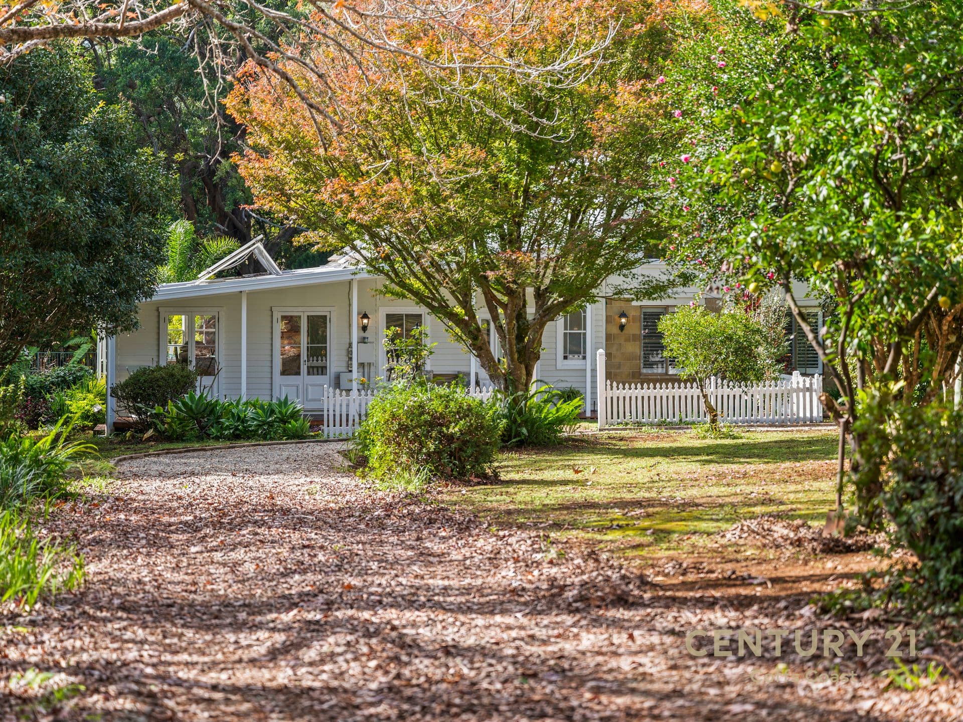 156 Central Bucca Road, Bucca, NSW, 2450, Bucca - Thumbnail 3