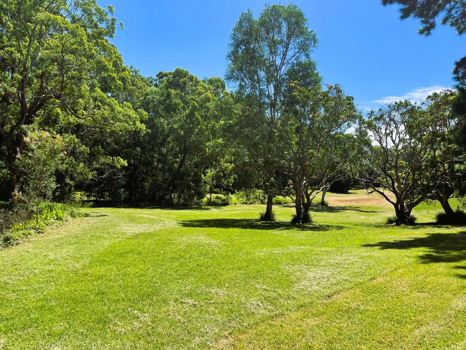 31 Gaudrons Road, Sapphire Beach, NSW, 2450, Sapphire Beach - Thumbnail 5