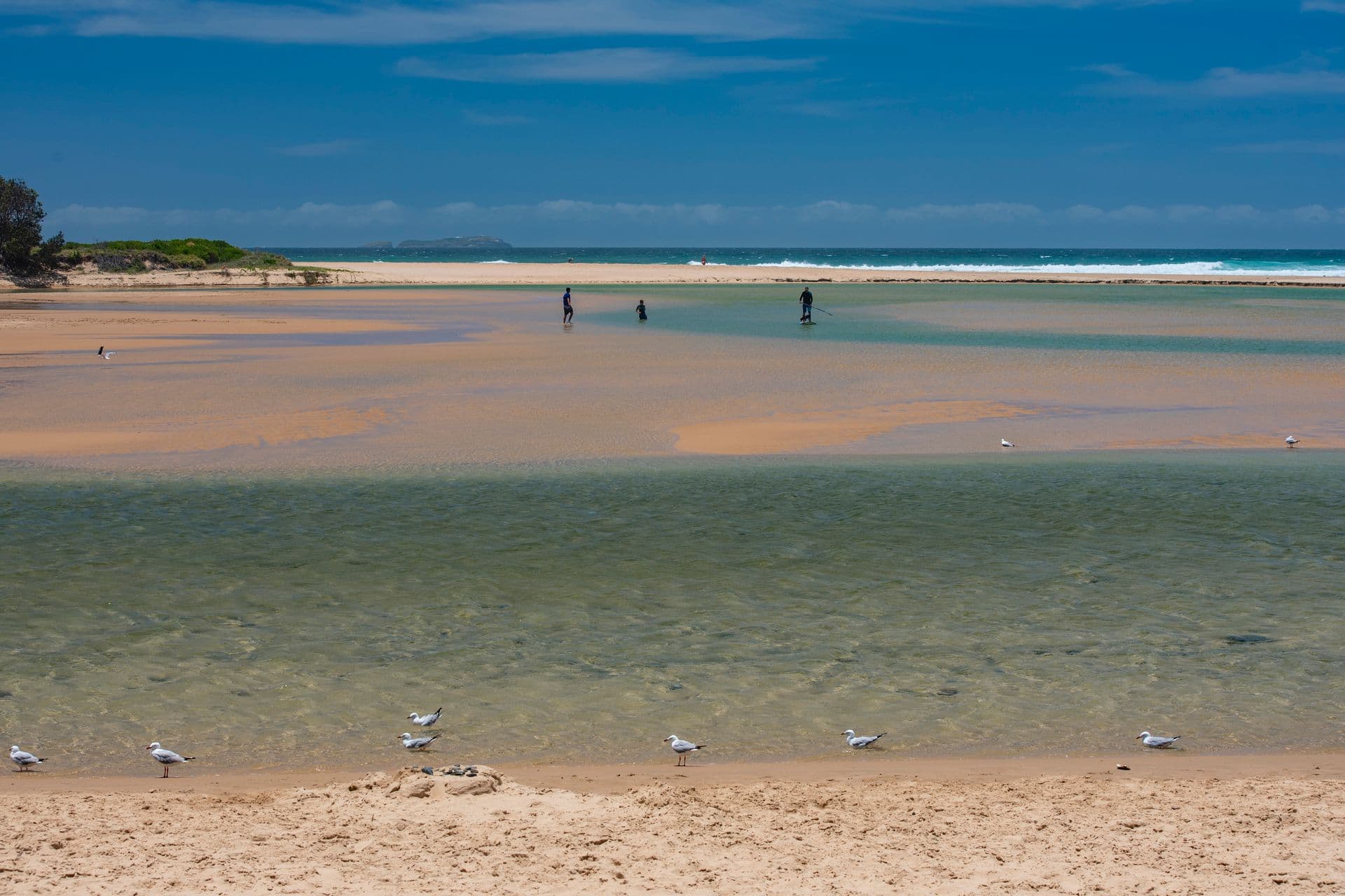 13 Stingray Creek Road, Moonee Beach, NSW, 2450, Moonee Beach - Thumbnail 7