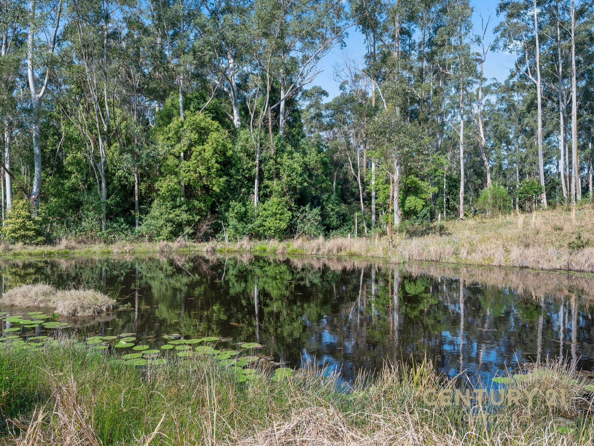 108 Mardells Road, Coffs Harbour, NSW, 2450, Bucca - Thumbnail 6