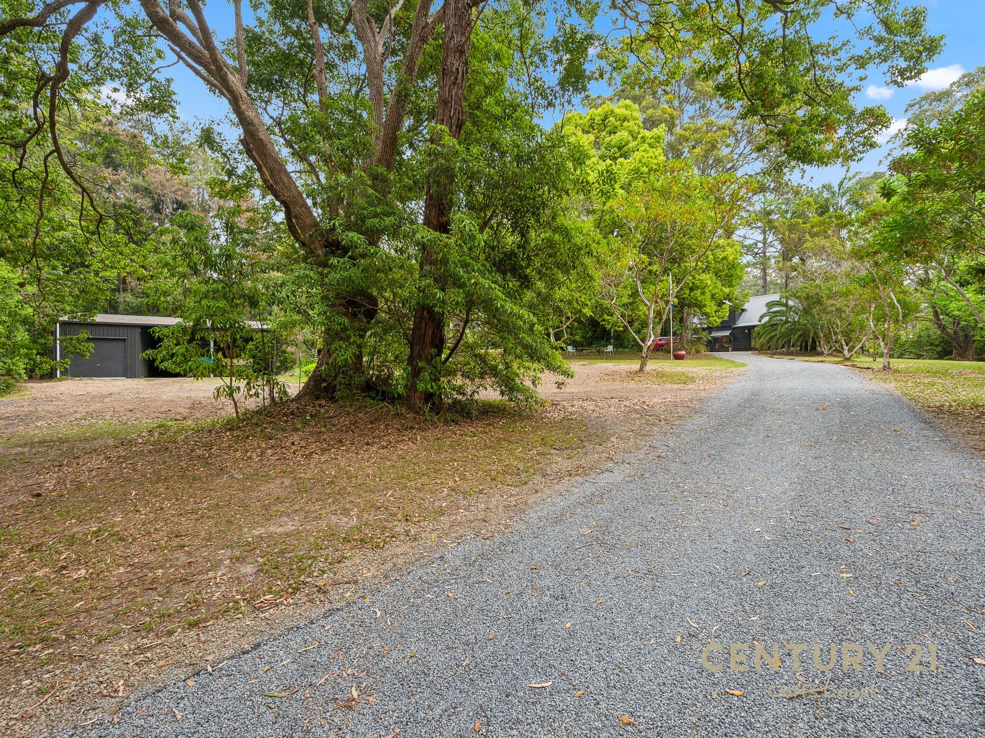 255 Mardells Road, Bucca, NSW, 2450, Bucca - Thumbnail 5