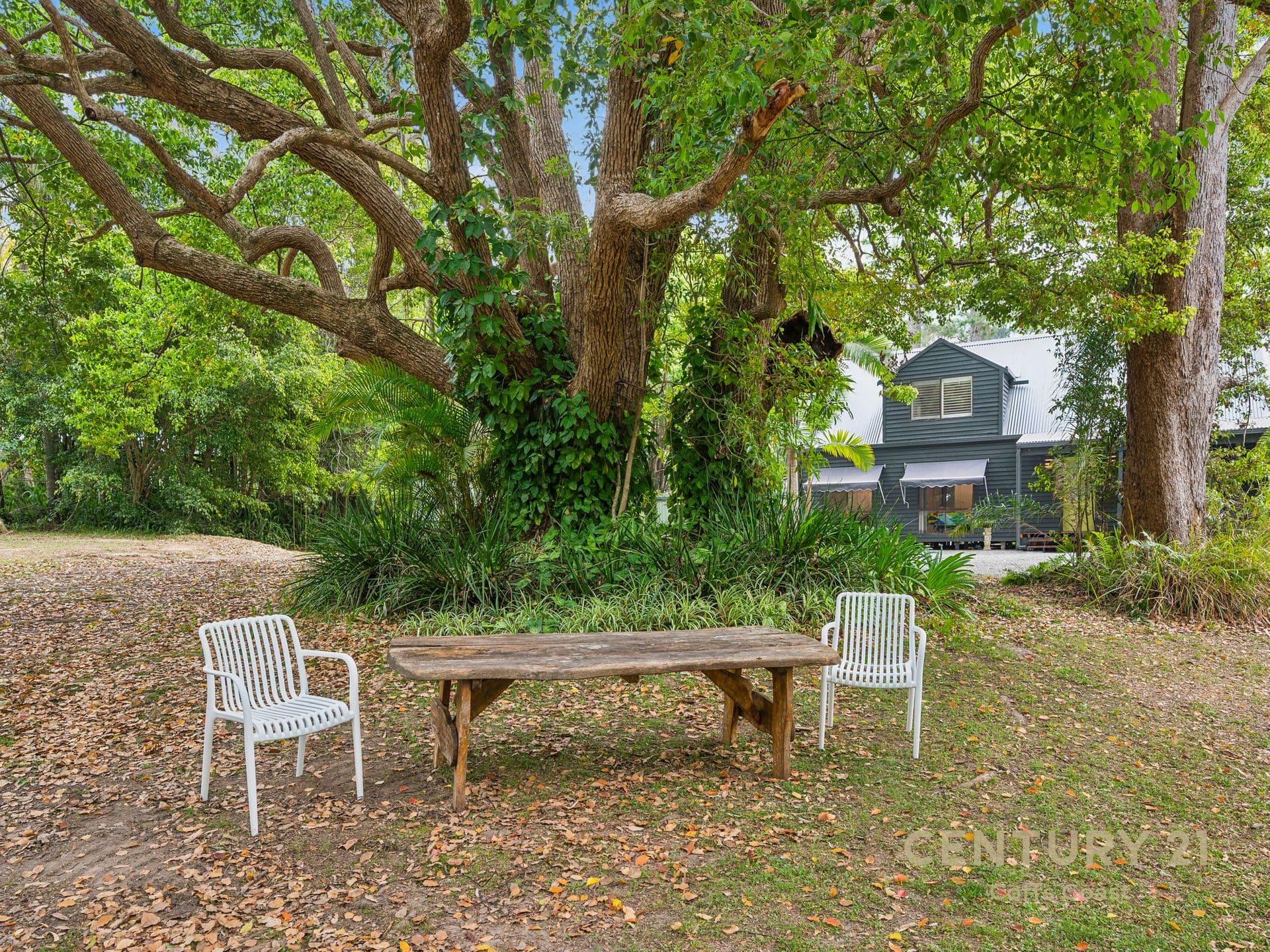 255 Mardells Road, Bucca, NSW, 2450, Bucca - Thumbnail 2