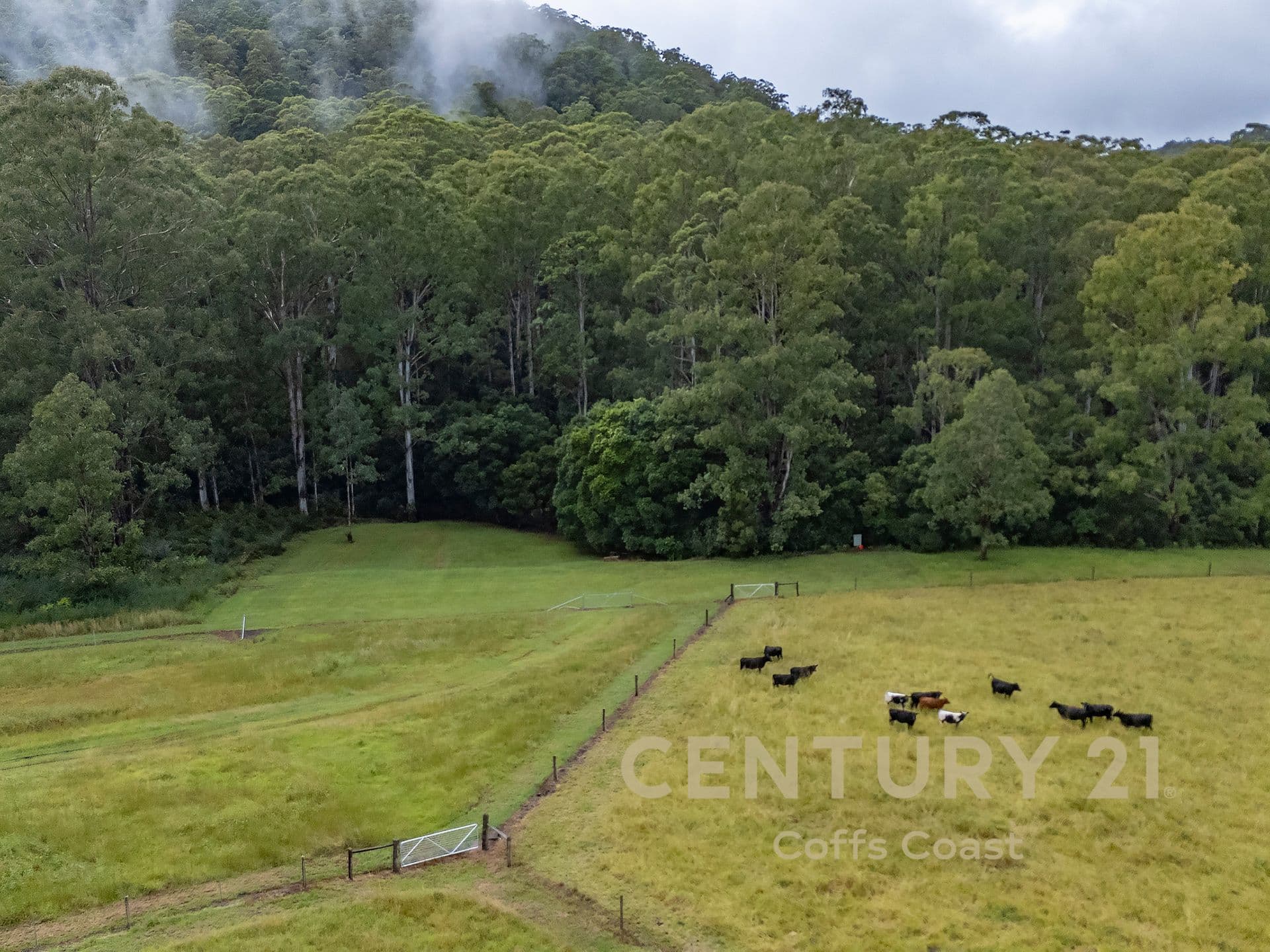 701 Moleton Road, Lowanna, NSW, 2450, Lowanna - Thumbnail 6