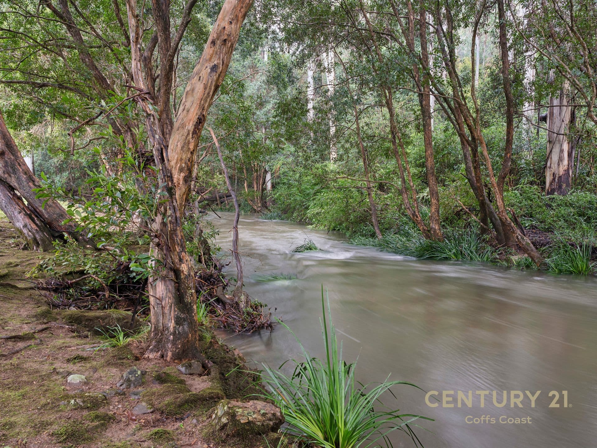 701 Moleton Road, Lowanna, NSW, 2450, Lowanna - Thumbnail 2
