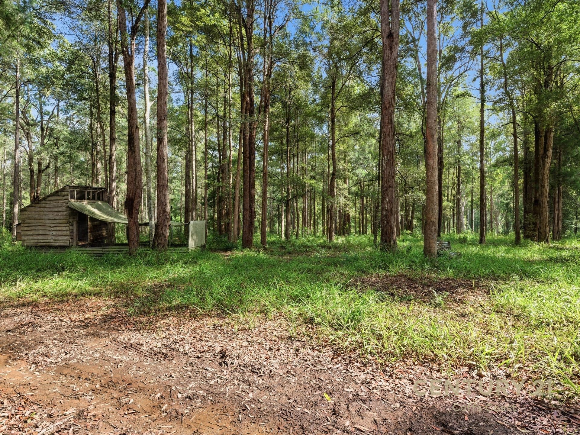 1083 Bucca Road, Bucca, NSW, 2450, Bucca - Thumbnail 3