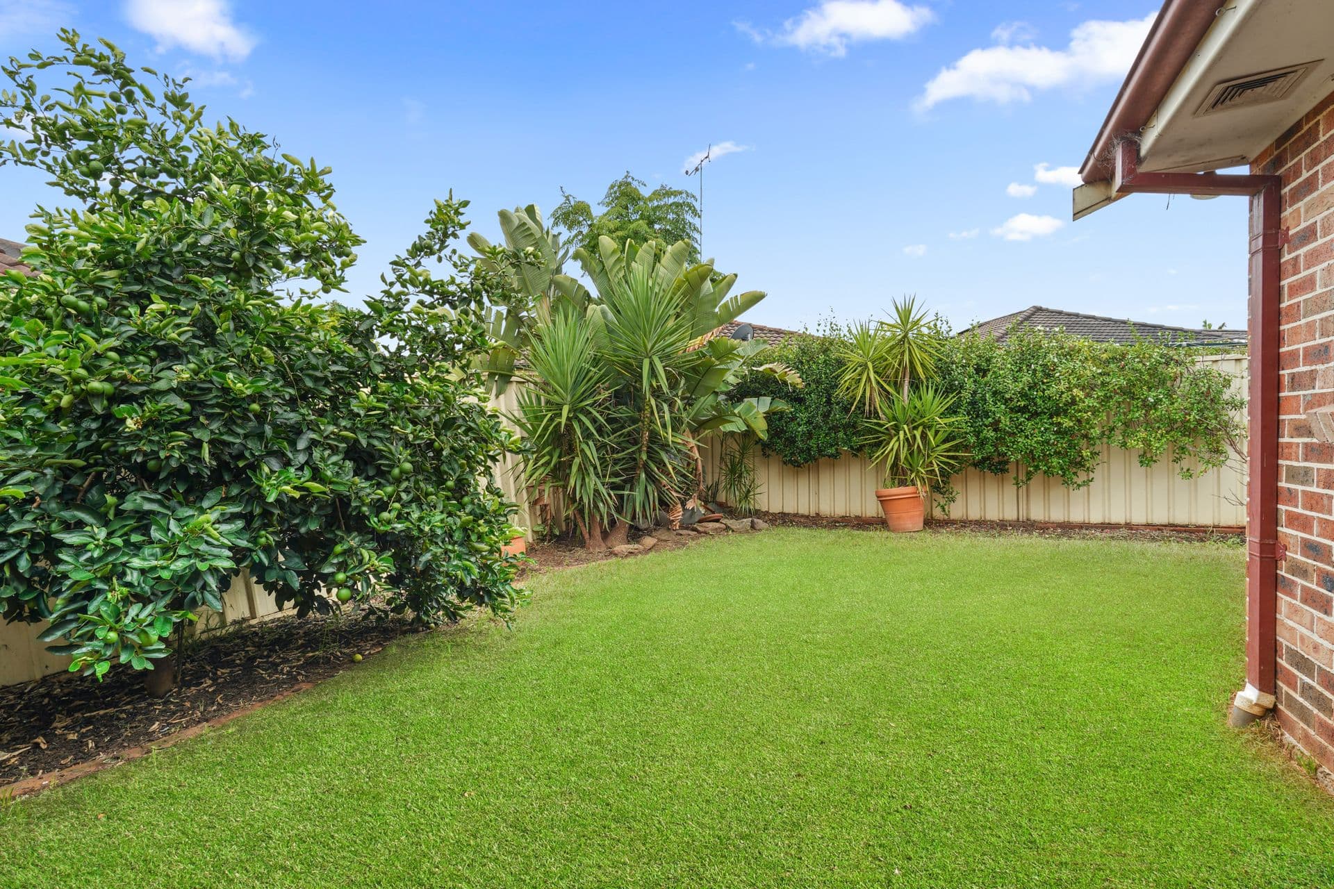 8a Veness Circuit, Narellan Vale, NSW, 2567, Narellan Vale - Thumbnail 5