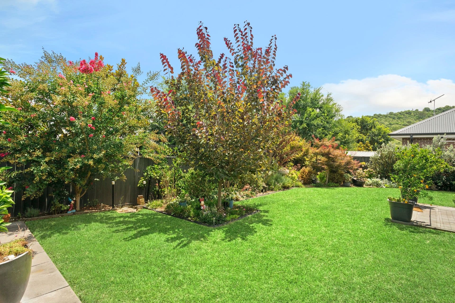 27 Charolais Way, Picton, NSW, 2571, Picton - Thumbnail 3