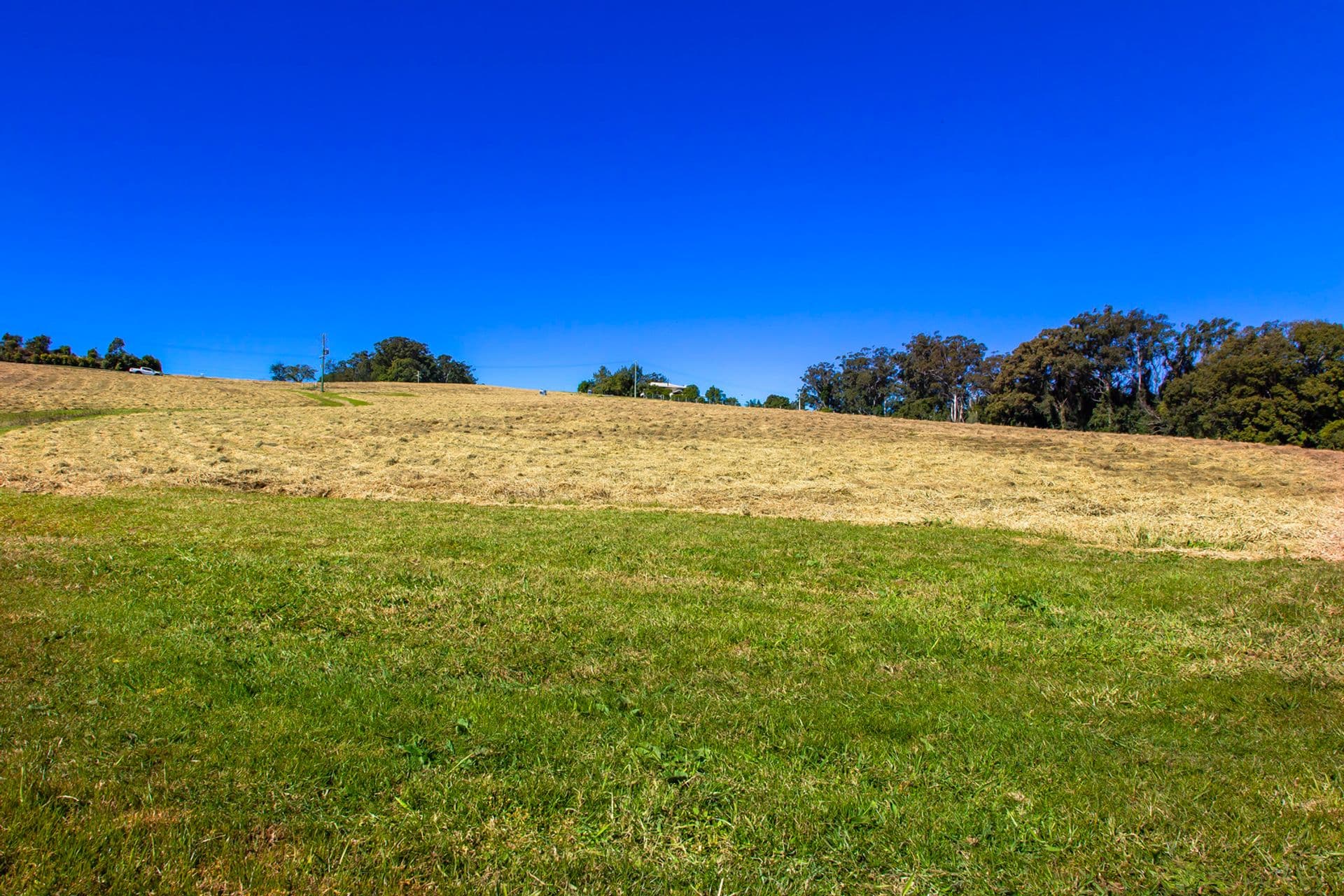 8 Moorhouse Road, Woombye, QLD, 4559, Woombye - Thumbnail 4