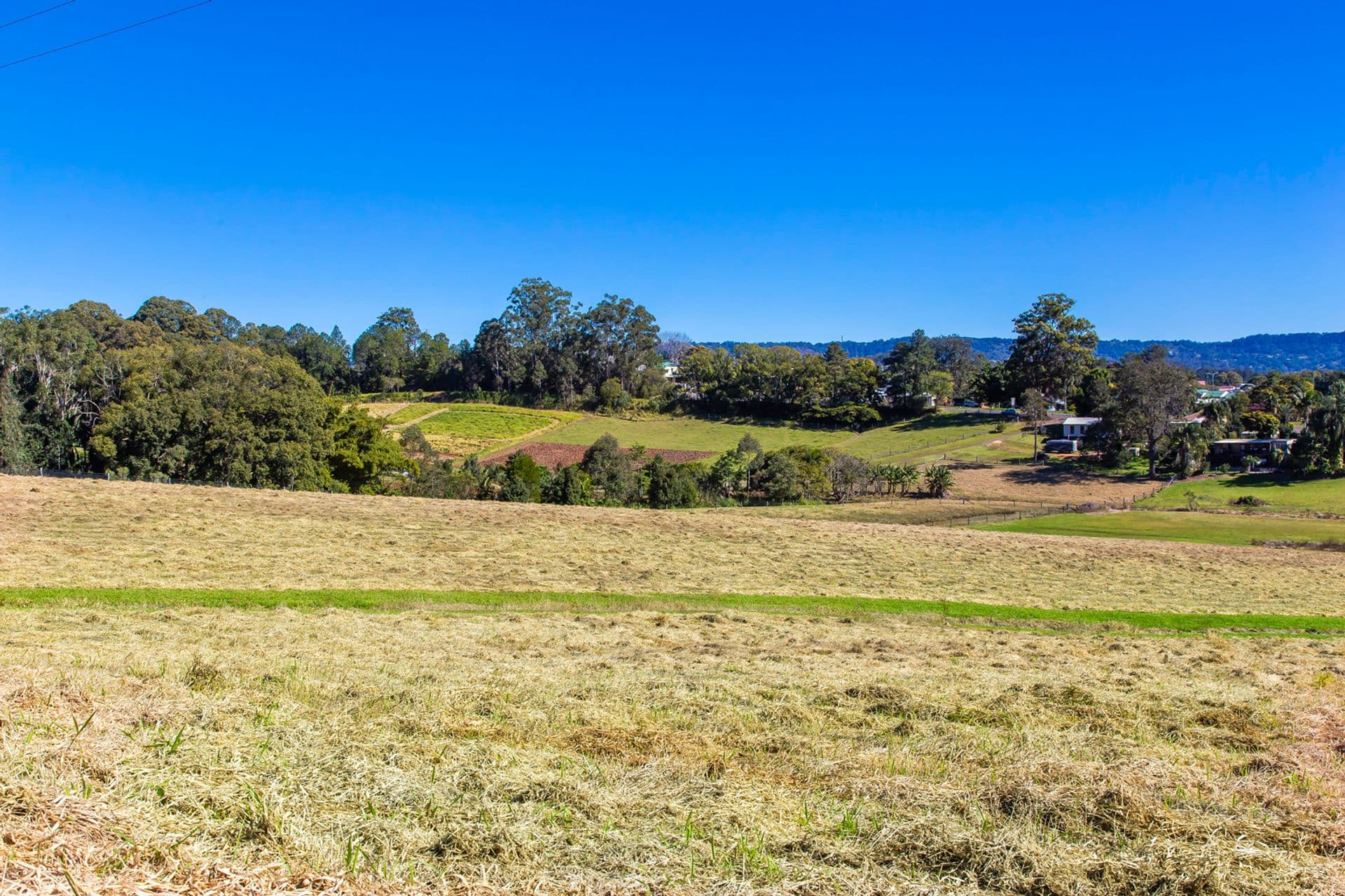8 Moorhouse Road, Woombye, QLD, 4559, Woombye - Thumbnail 7