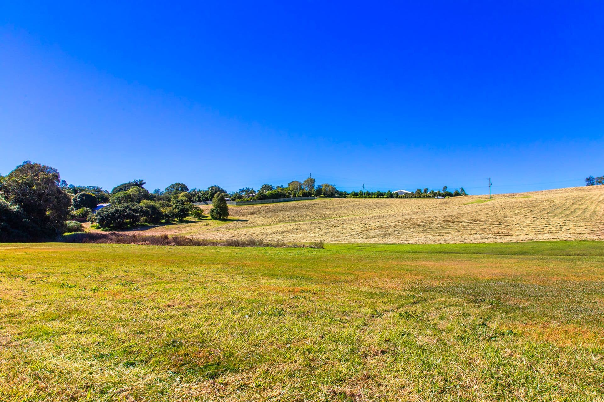 8 Moorhouse Road, Woombye, QLD, 4559, Woombye - Thumbnail 8