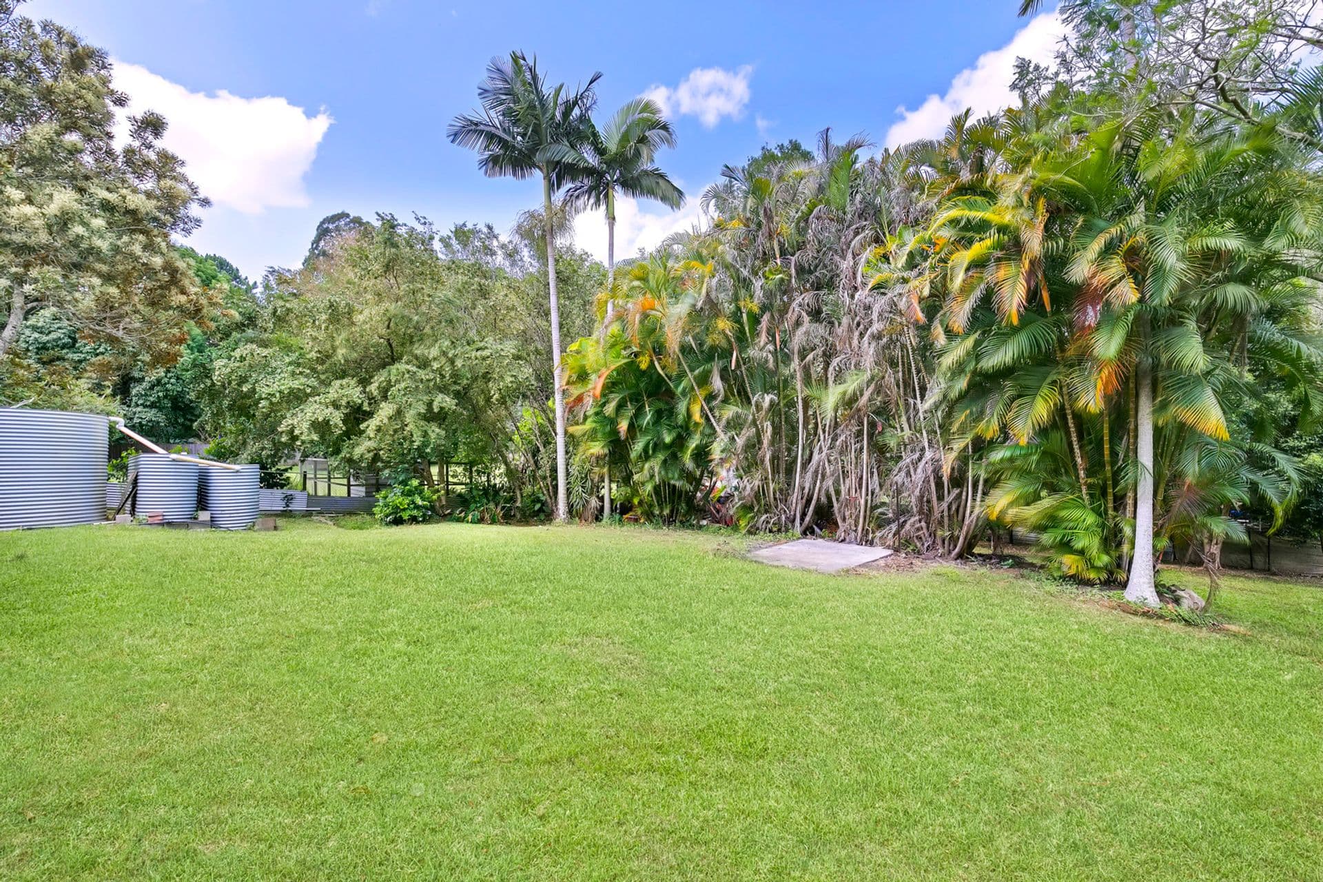111 Old Palmwoods Road, West Woombye, QLD, 4559, West Woombye - Thumbnail 2