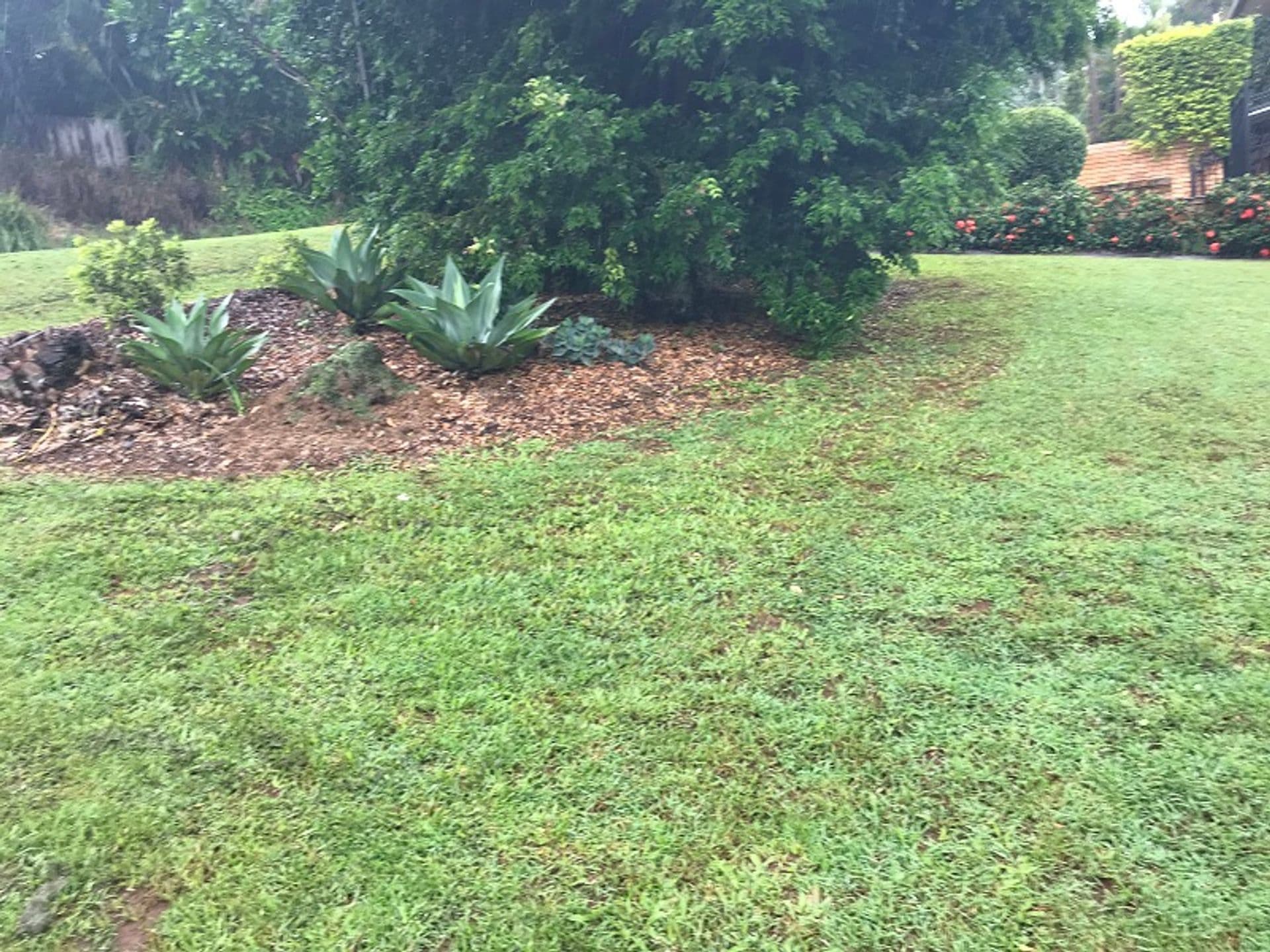 22 Dinmore Street, Woombye, QLD, 4559, Woombye - Thumbnail 3