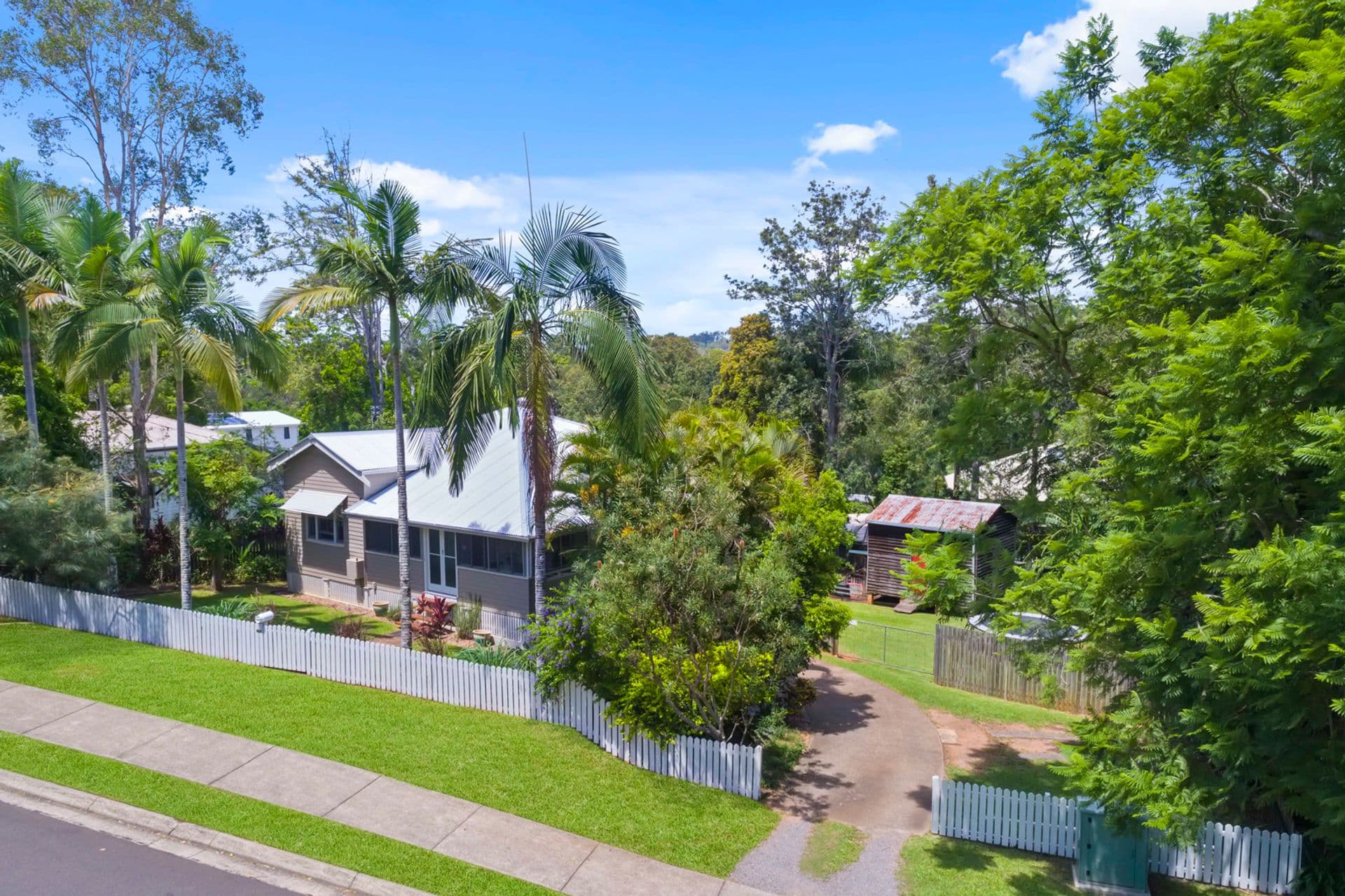 29 Churchill Street, Palmwoods, QLD, 4555, Palmwoods - Thumbnail 7