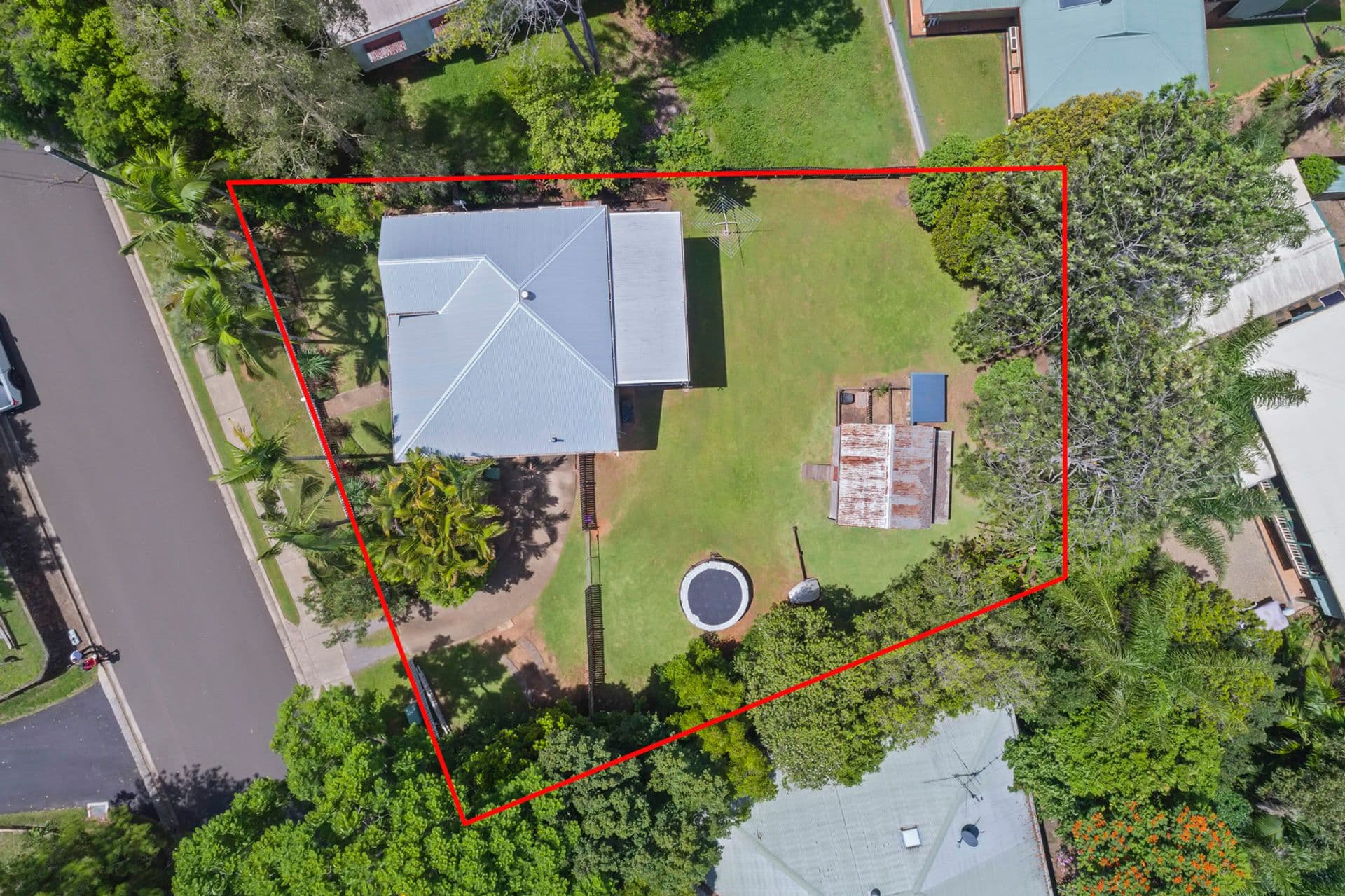 29 Churchill Street, Palmwoods, QLD, 4555, Palmwoods - Thumbnail 6