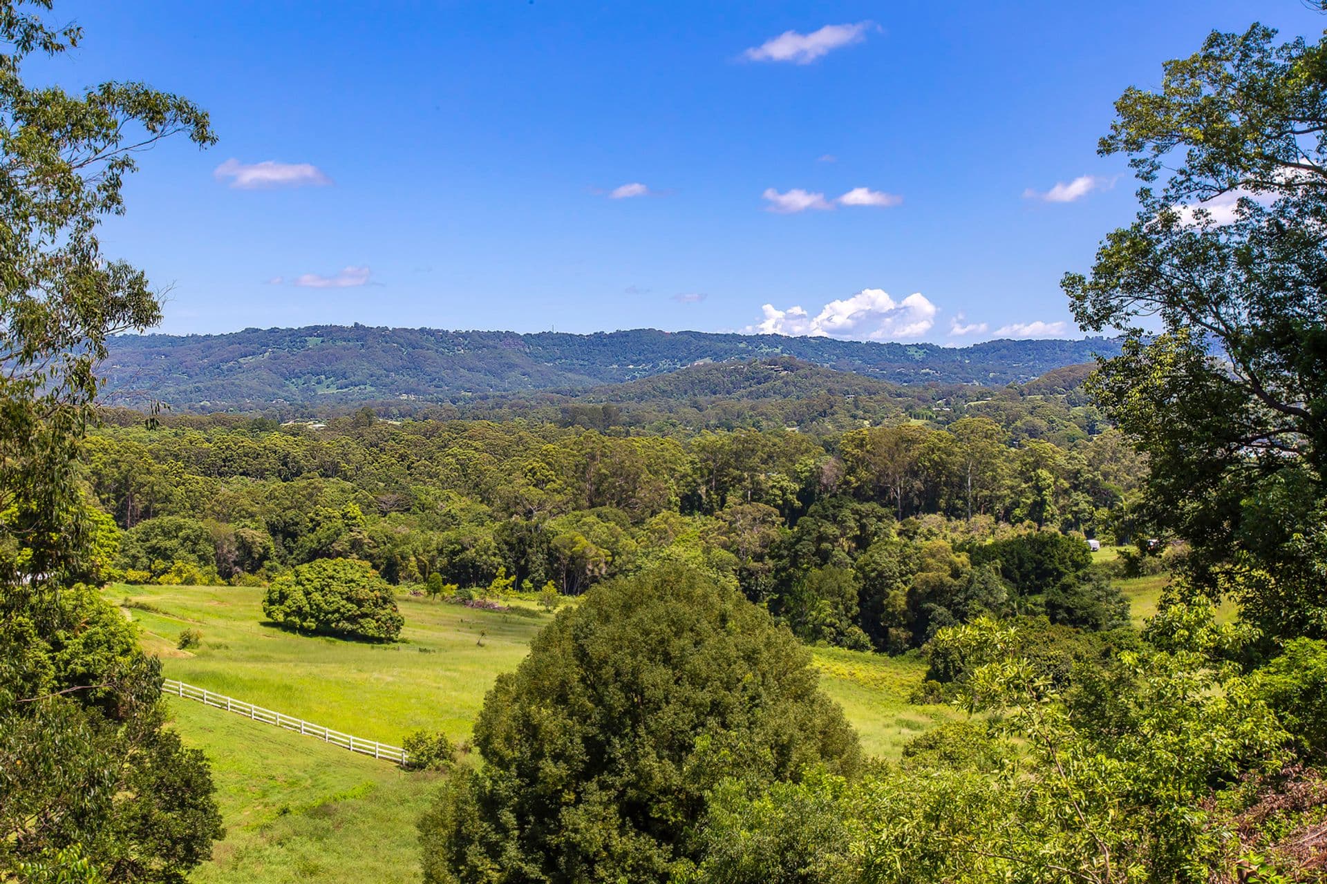 81 Woombye Palmwoods Road, Woombye, QLD, 4559, Woombye - Thumbnail 4