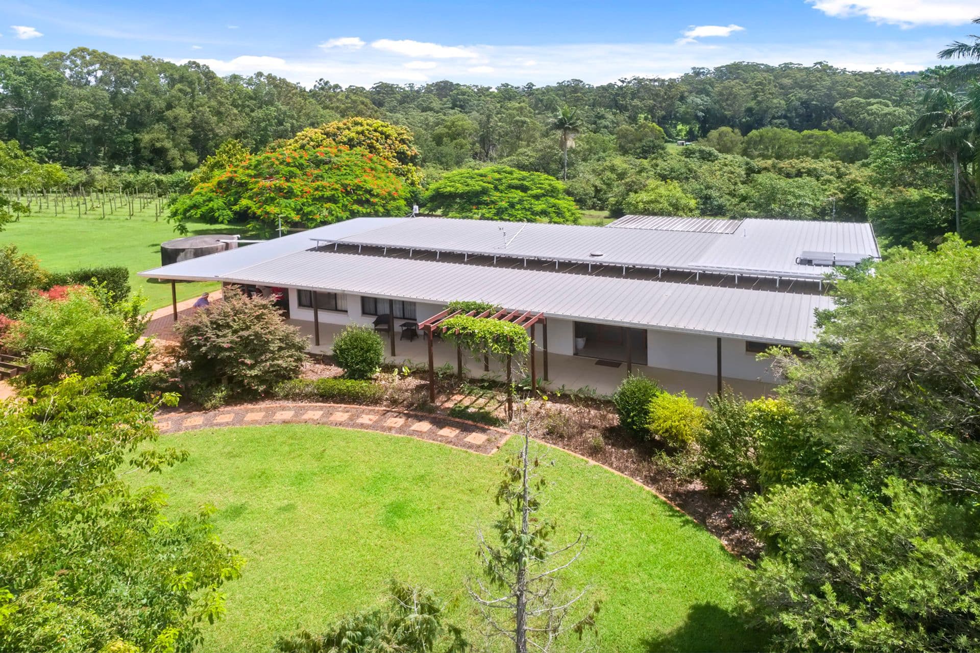 205 Winston Road, Palmwoods, QLD, 4555, Palmwoods - Thumbnail 2