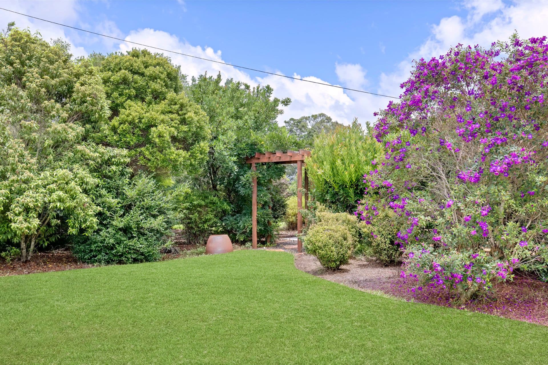 205 Winston Road, Palmwoods, QLD, 4555, Palmwoods - Thumbnail 6