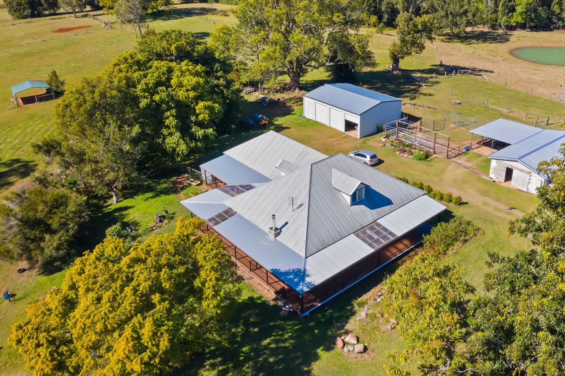 135 Old Palmwoods Road, West Woombye, QLD, 4559, West Woombye - Thumbnail 2