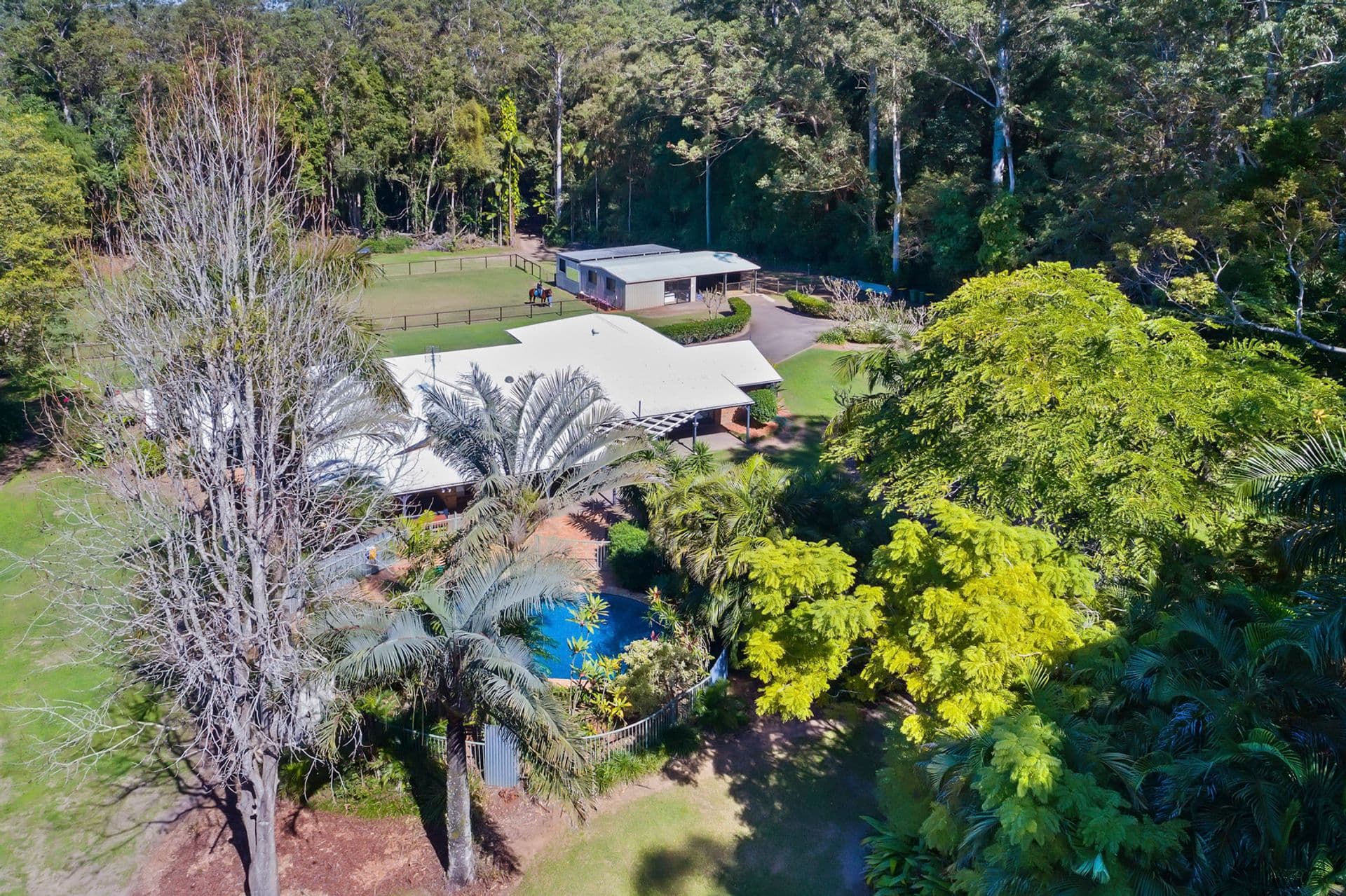 22 Bamboo Road, Palmwoods, QLD, 4555, Palmwoods - Thumbnail 3