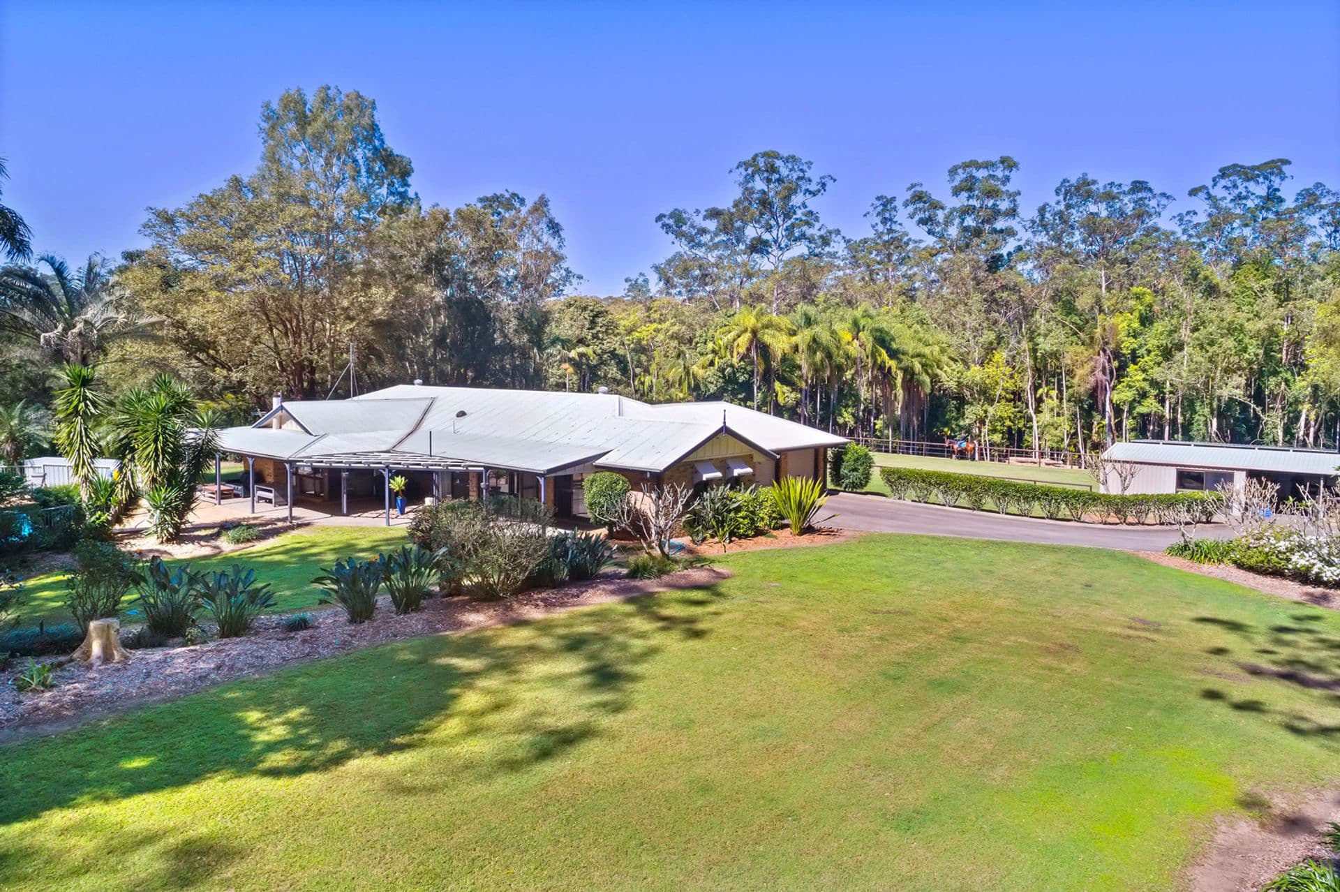 22 Bamboo Road, Palmwoods, QLD, 4555, Palmwoods - Thumbnail 4
