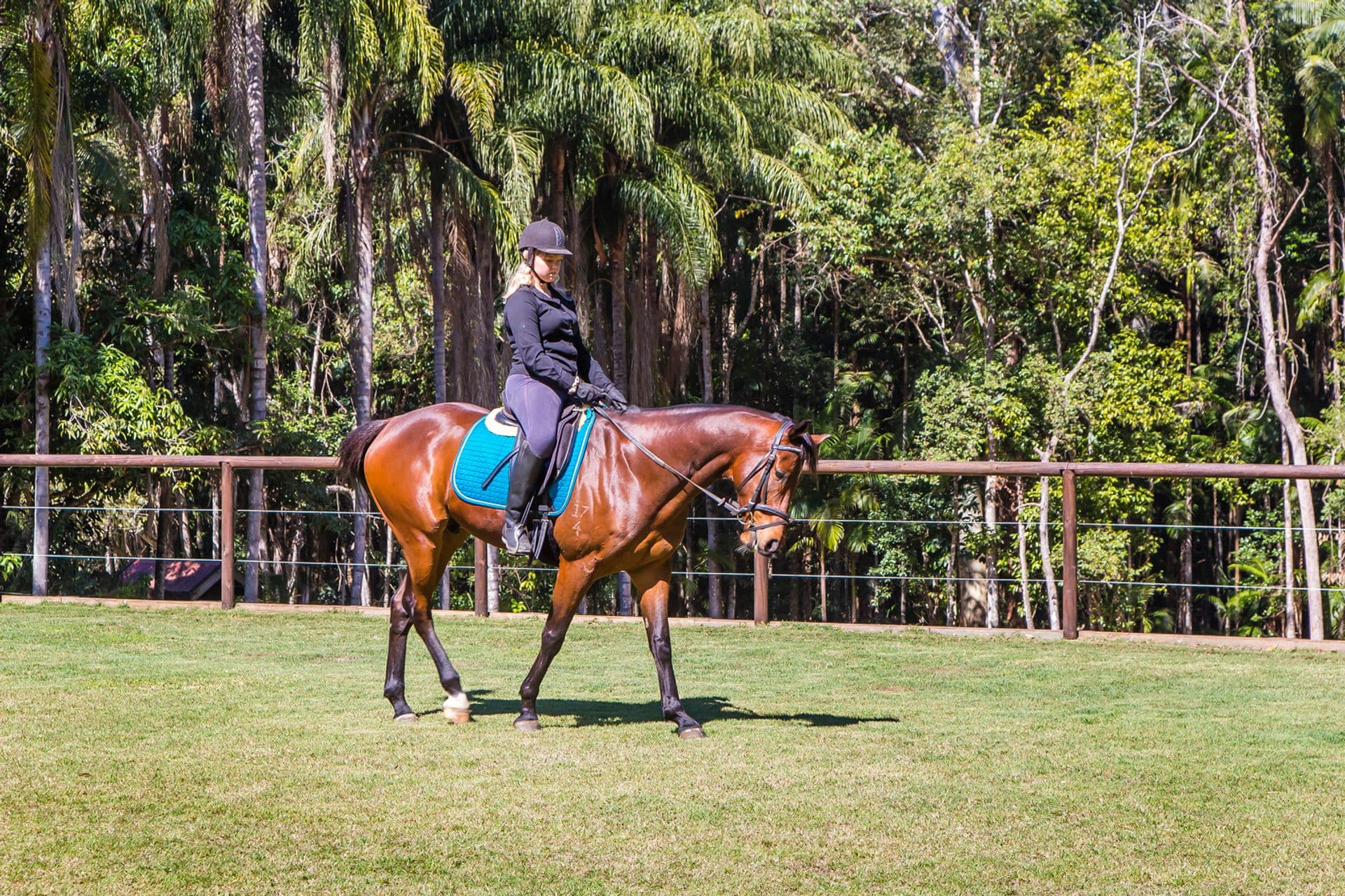 22 Bamboo Road, Palmwoods, QLD, 4555, Palmwoods - Thumbnail 2