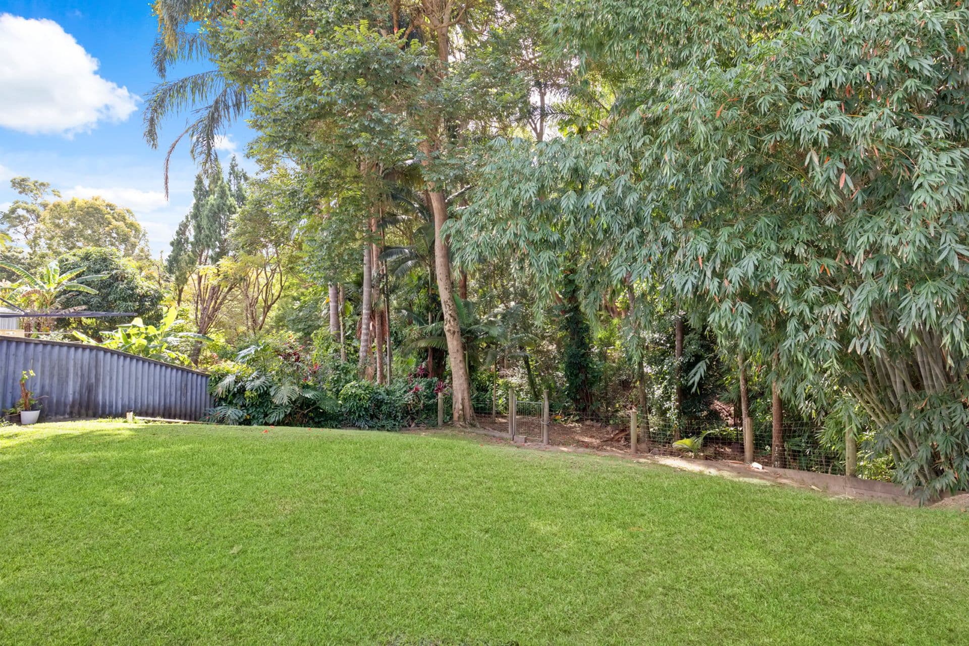 21 Elizabeth Way, Nambour, QLD, 4560, Nambour - Thumbnail 3