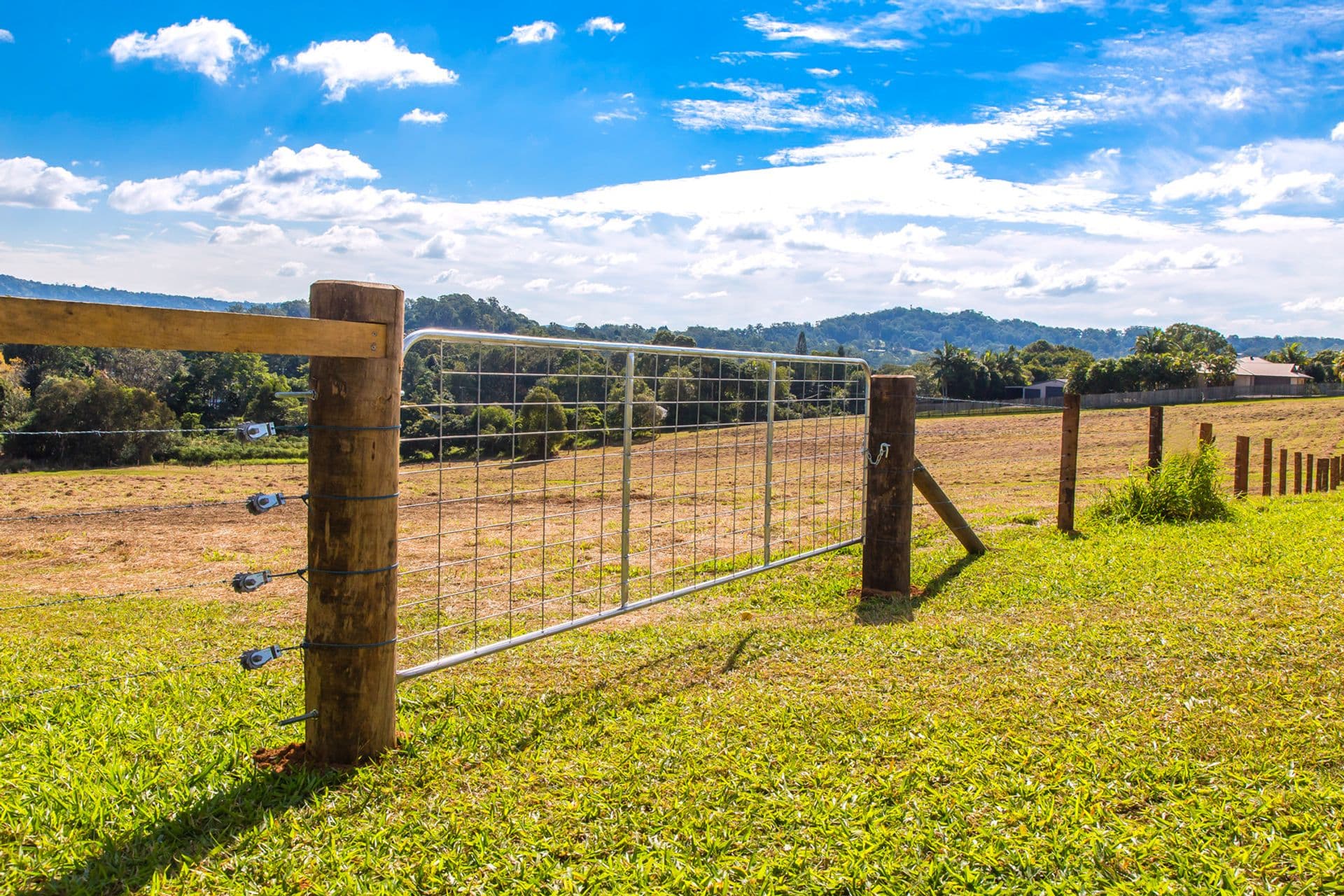 8 Moorhouse Road, Woombye, QLD, 4559, Woombye - Thumbnail 2