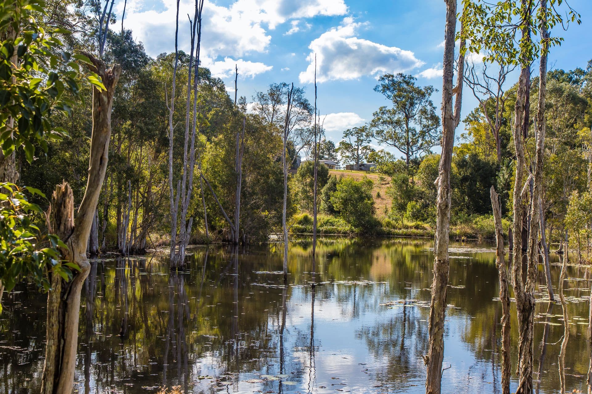 117 Running Creek Road, North Arm, QLD, 4561, North Arm - Thumbnail 8