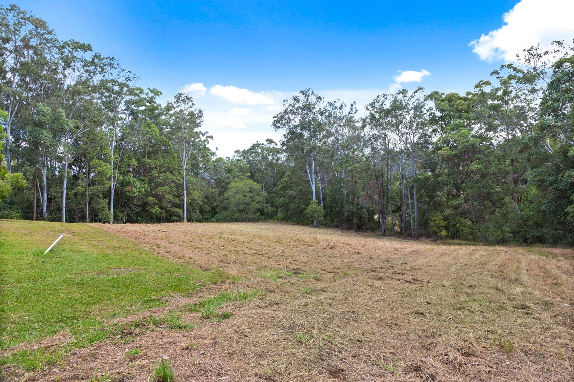 599 Blackall Range Road, West Woombye, QLD, 4559, West Woombye - Thumbnail 3