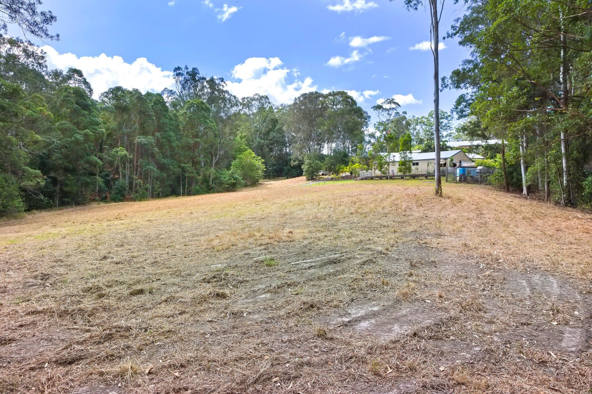 599 Blackall Range Road, West Woombye, QLD, 4559, West Woombye - Thumbnail 4