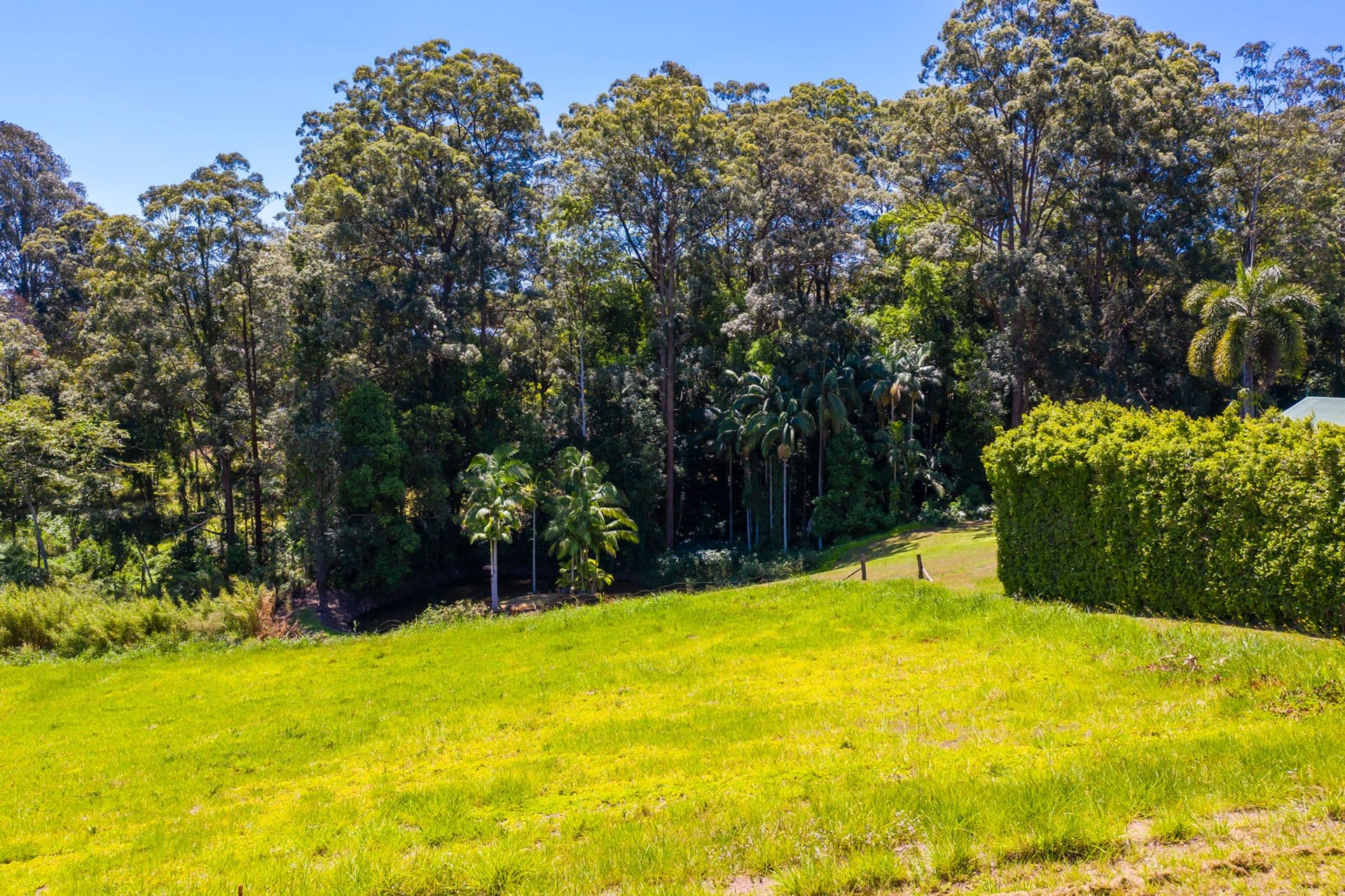 22 Erbacher Road, Nambour, QLD, 4560, Nambour - Thumbnail 6