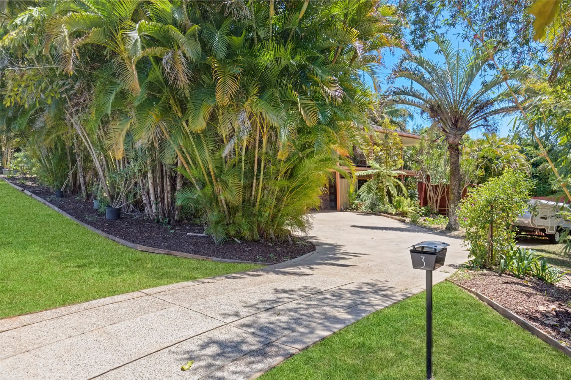 3 Bareena Court, Palmwoods, QLD, 4555, Palmwoods - Thumbnail 4