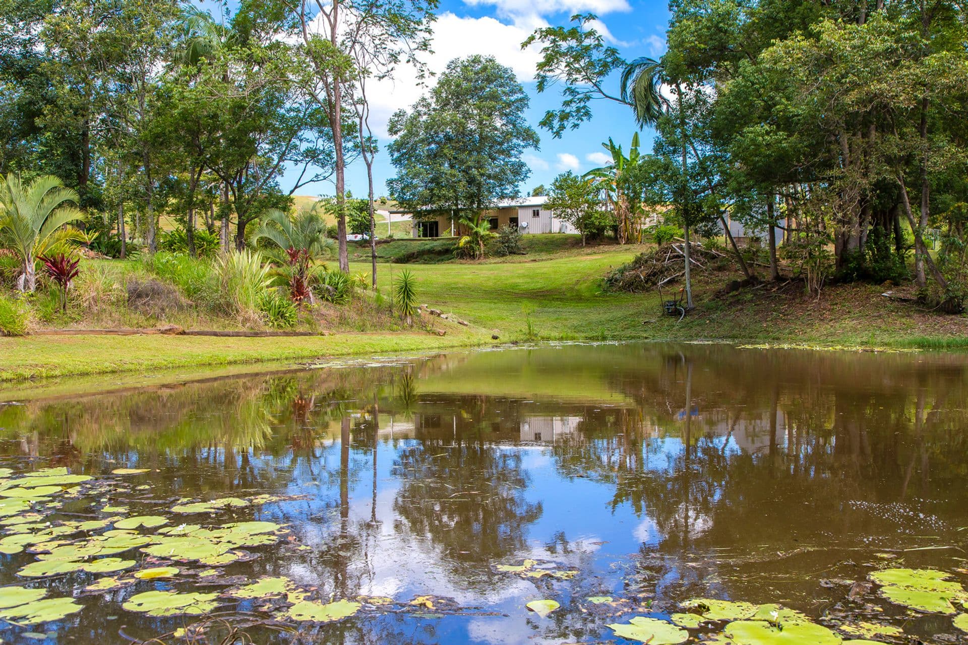 25 Parsons Knob Road South, Hunchy, QLD, 4555, Hunchy - Thumbnail 7