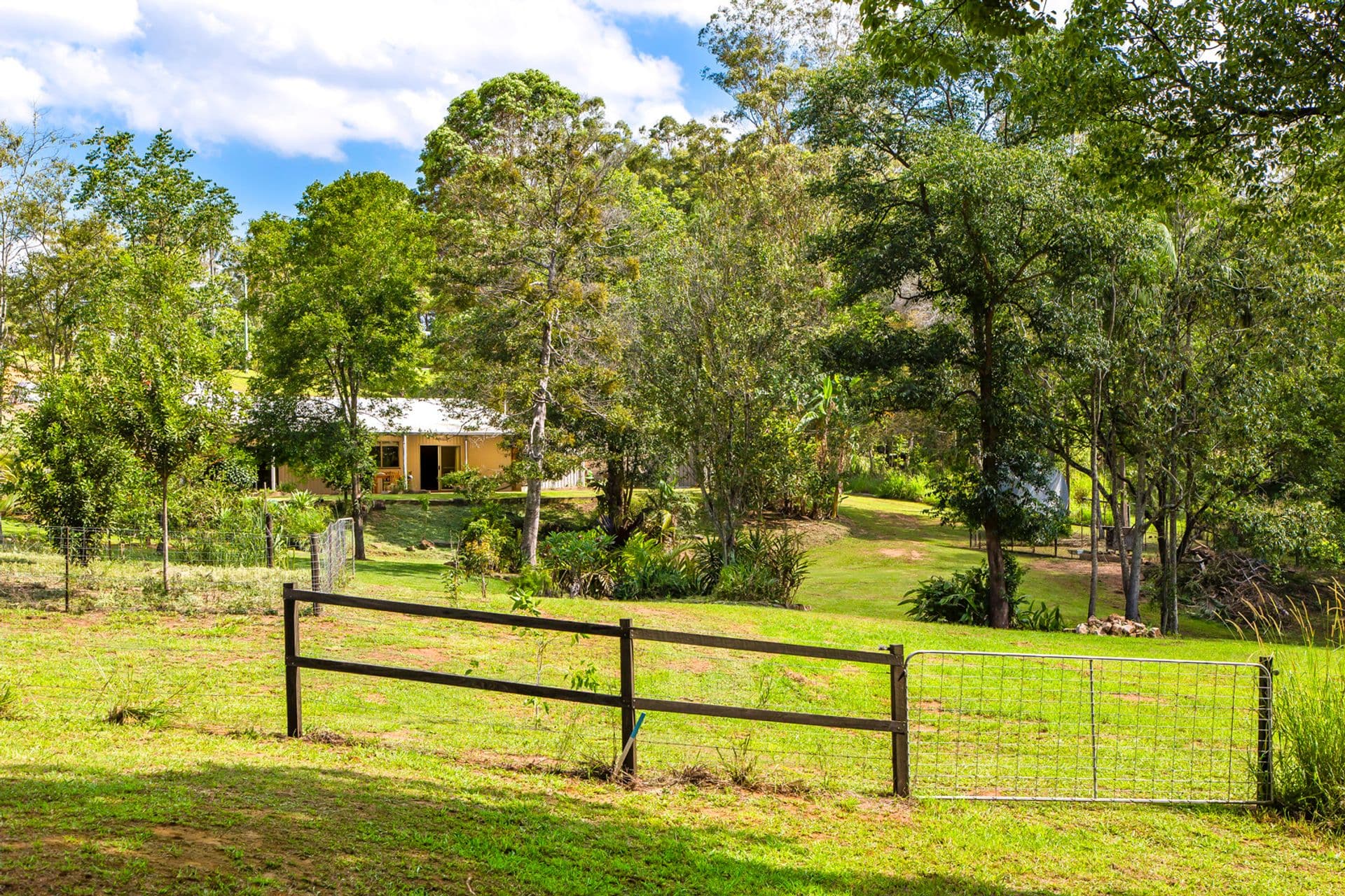 25 Parsons Knob Road South, Hunchy, QLD, 4555, Hunchy - Thumbnail 5